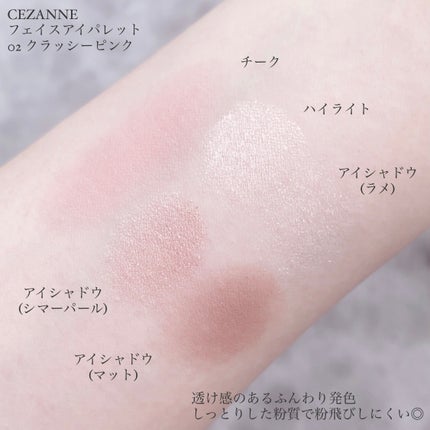 フェイスアイパレット/CEZANNE/アイシャドウを使ったクチコミ(3枚目)