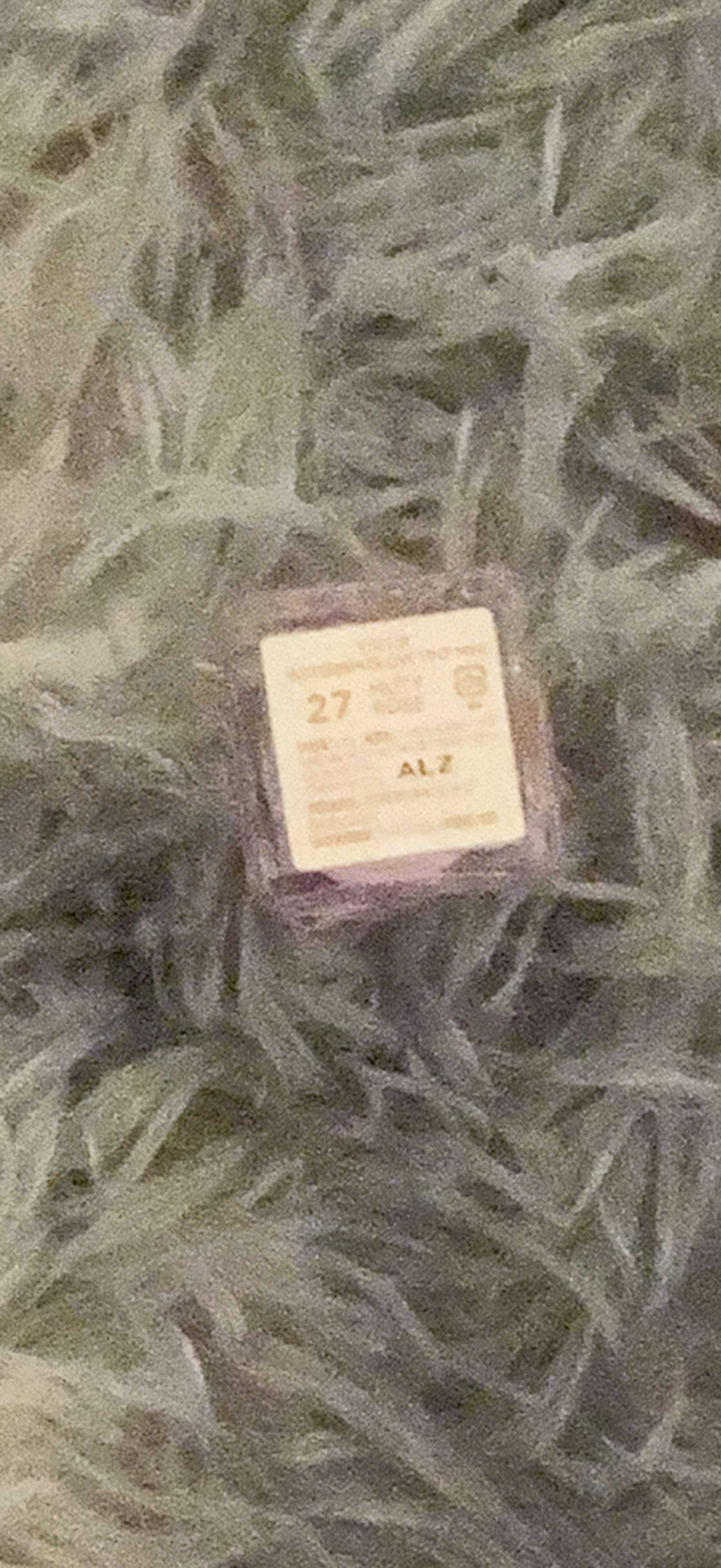 ウォーターリズムグロウティント/TIRTIR(ティルティル)/リップティントを使ったクチコミ（2枚目）