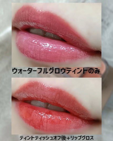 ソフトシアーマルチパレット/wakemake/アイシャドウパレットを使ったクチコミ(8枚目)