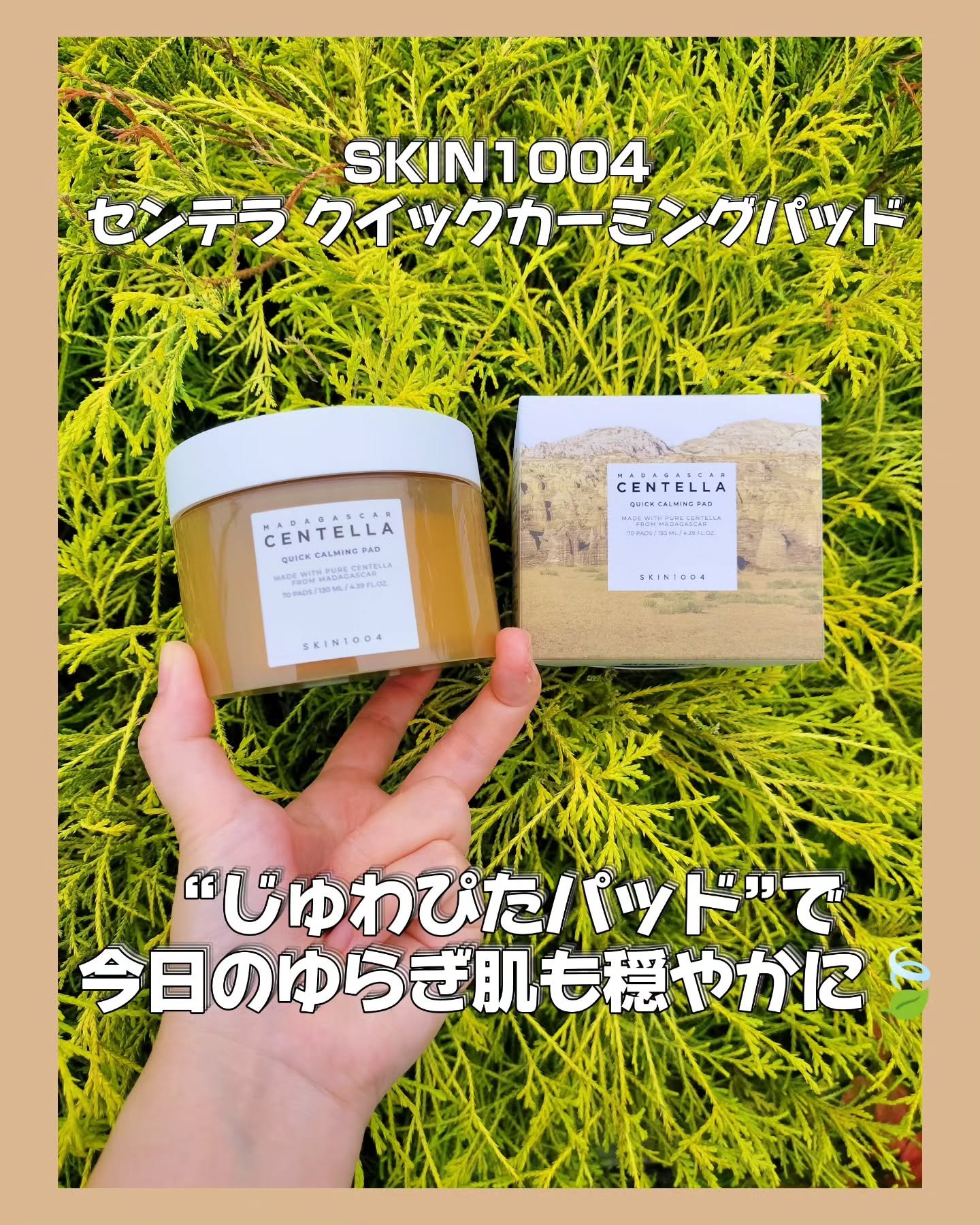 センテラ クイックカーミングパッド/SKIN1004/トナーパッドを使ったクチコミ（1枚目）