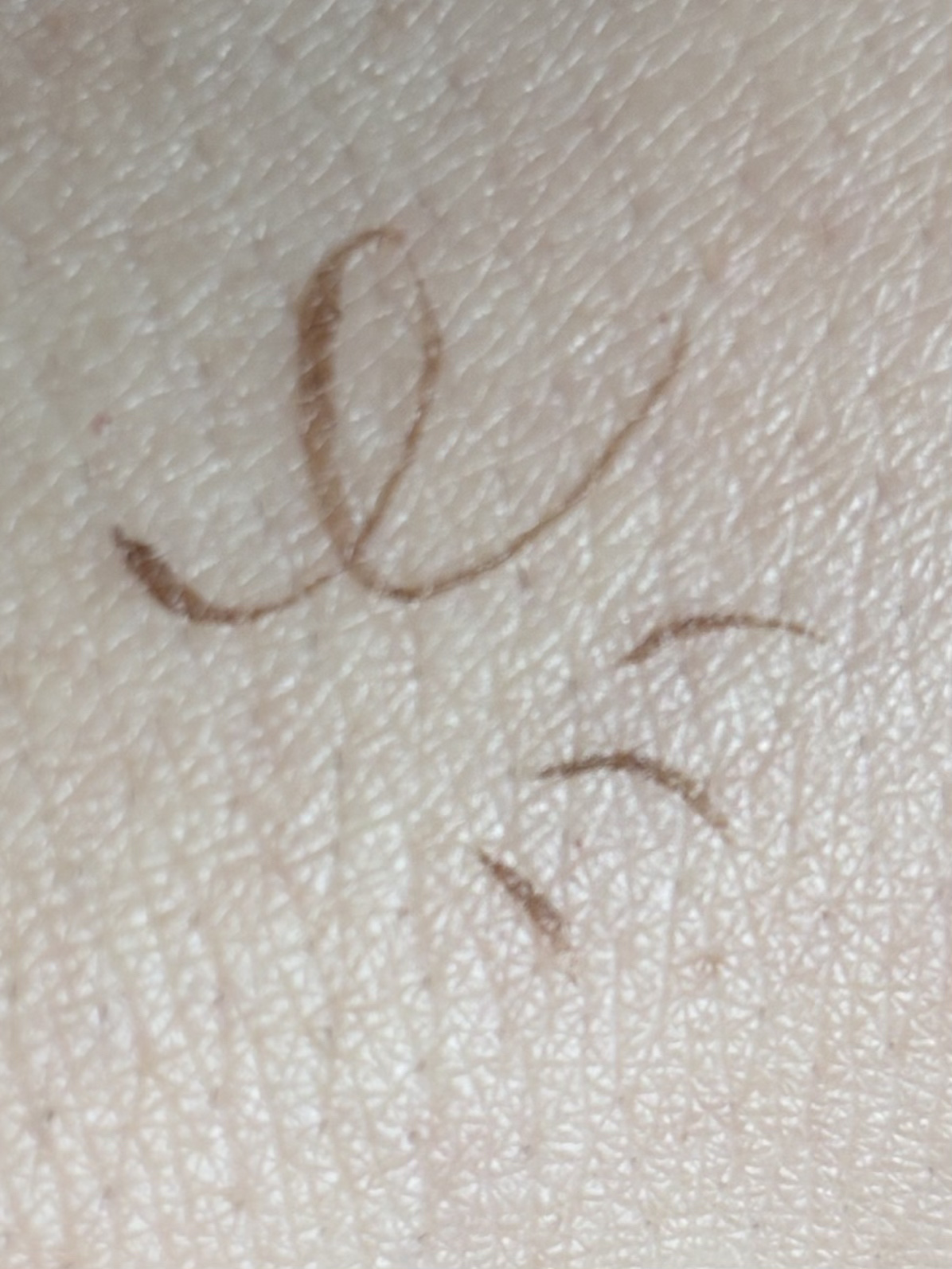 アヴァンセ プリュネルライナー/アヴァンセ/リキッドアイライナーを使ったクチコミ（3枚目）