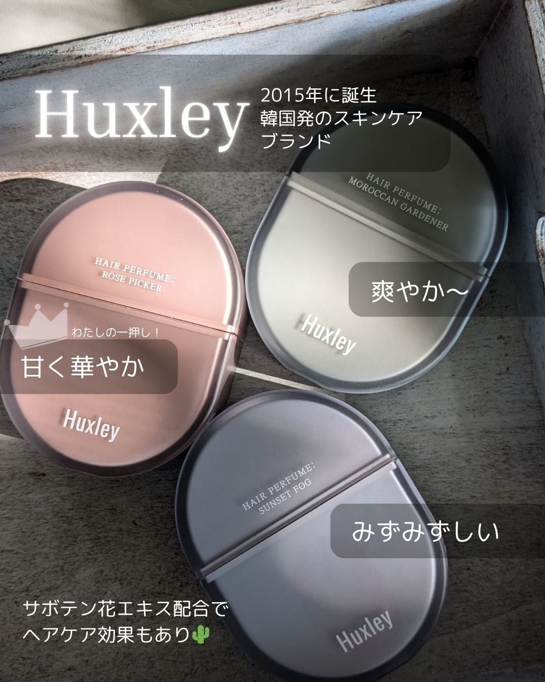 ããšãã𪶠ãã©ããâ¡ on LIPS ããéŠããã³ã«èªåã«æ»ããïŒHuxleyïŒãã¯ã¹ãªãŒïŒæ§ããé ..ãïŒ2æç®ïŒ