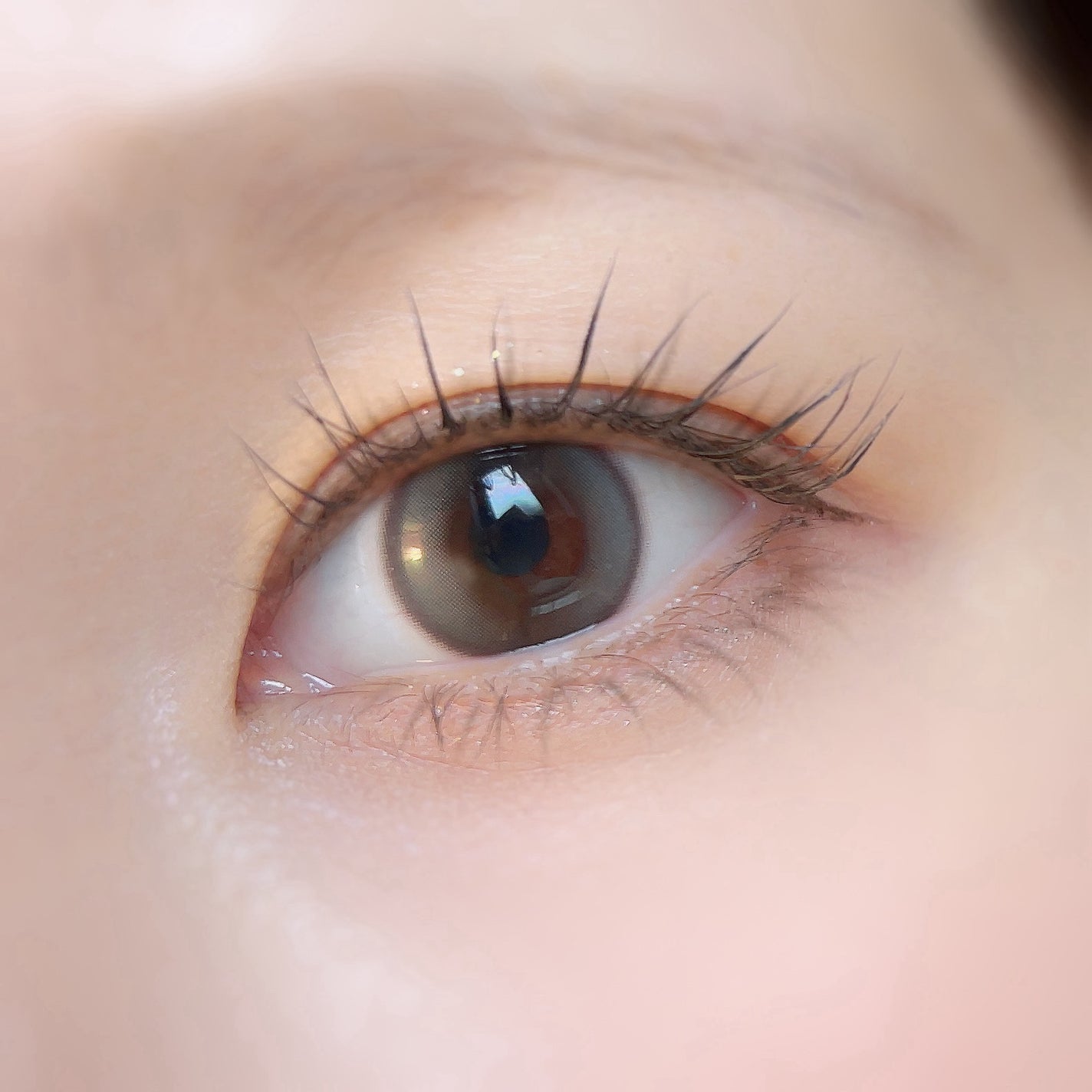 Double Tint 1day/OLENS/カラーコンタクトレンズを使ったクチコミ(3枚目)