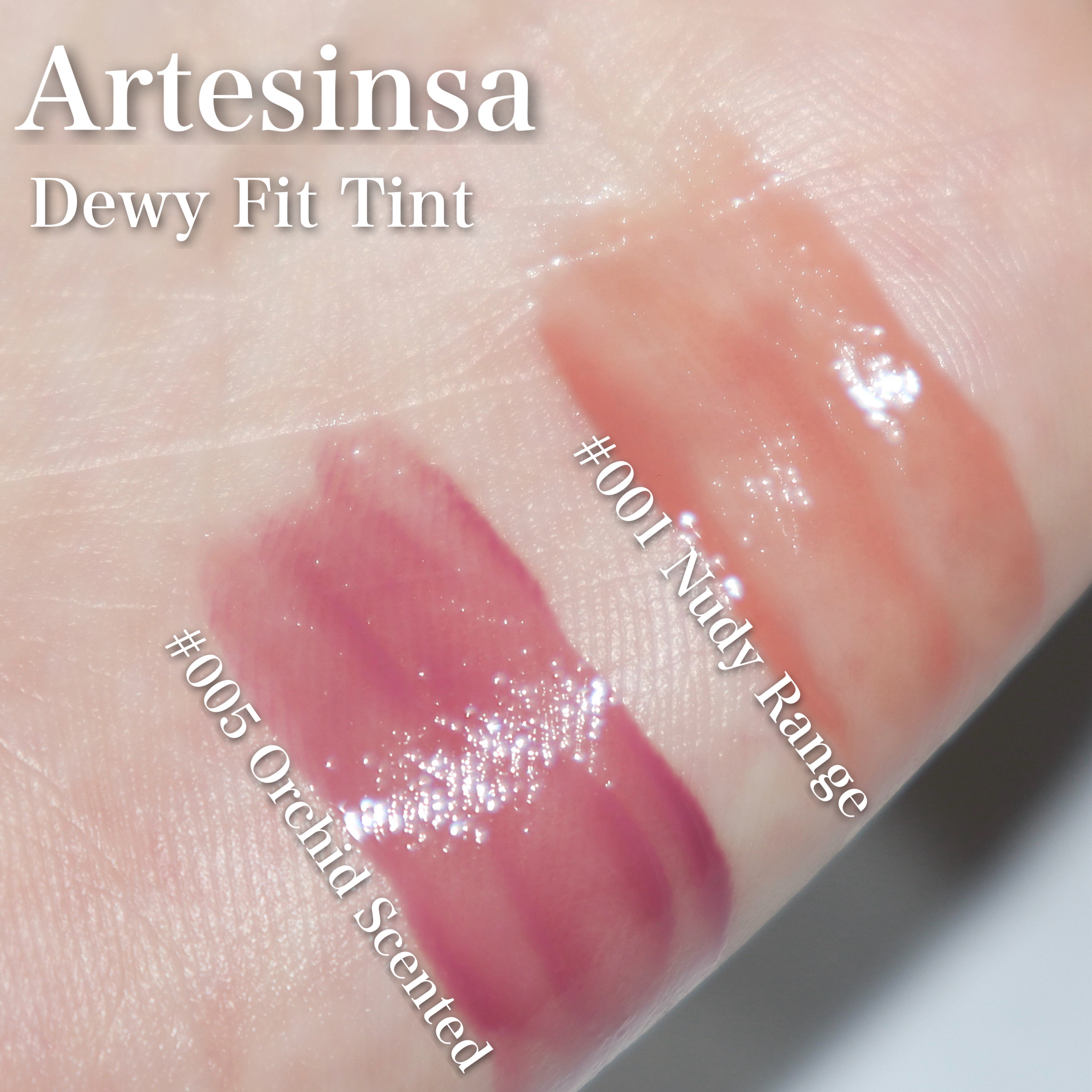 ビルダブルデューイフィットティント/ArteSinsa/リップティントを使ったクチコミ（3枚目）