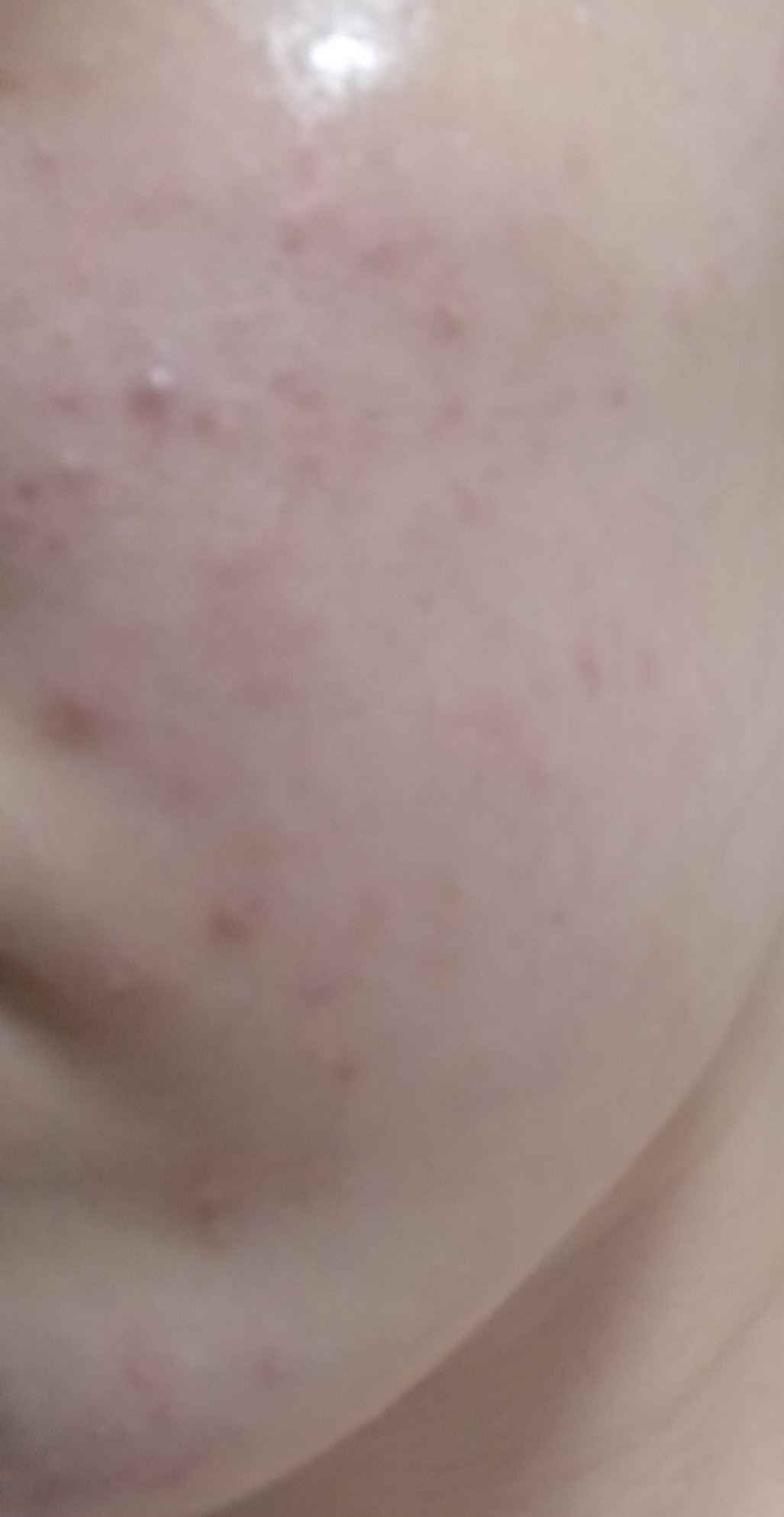 トイロ バランシングドロップ＜医薬部外品＞（化粧液）/ファンケル/化粧水を使ったクチコミ（3枚目）