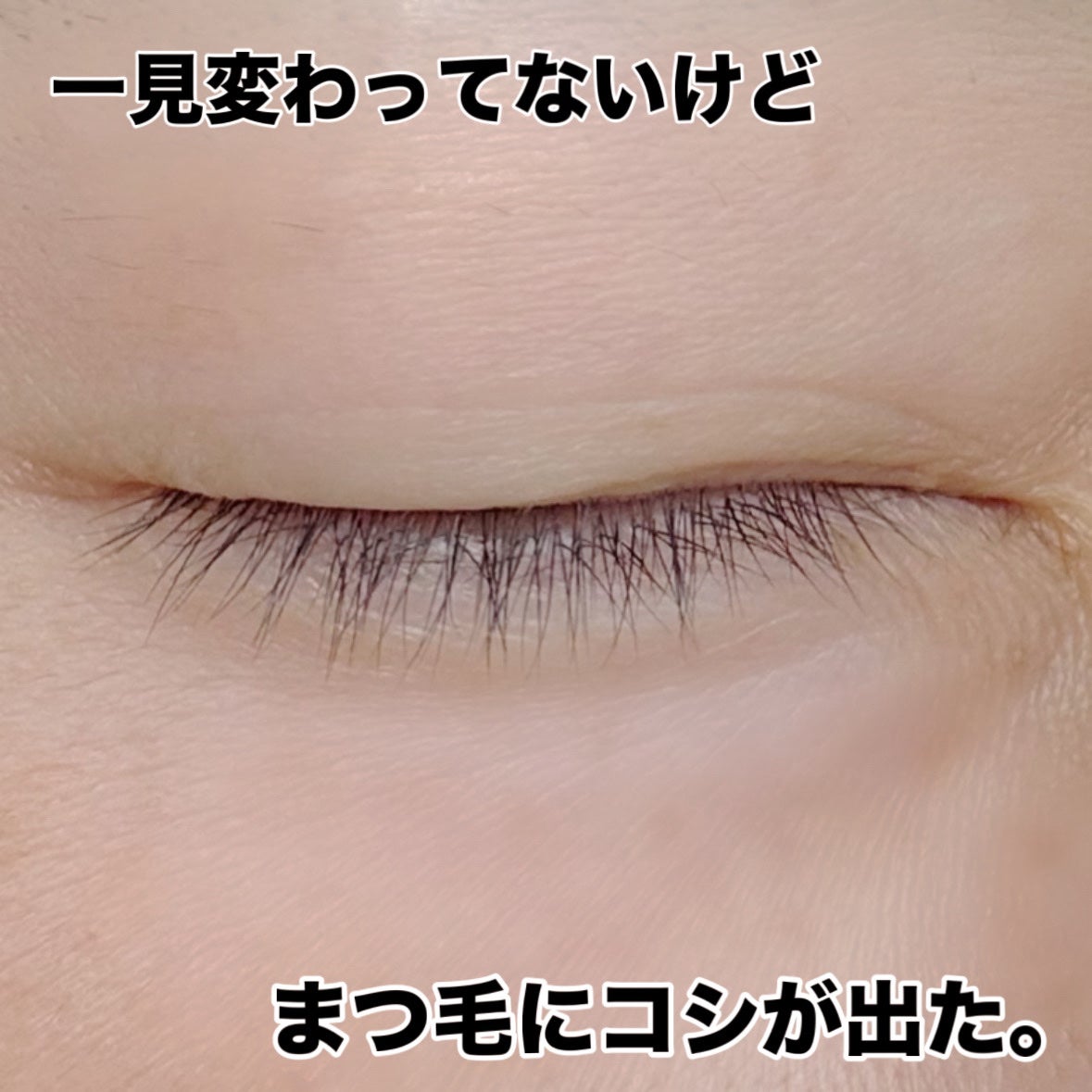 ラッシュリッチアイラッシュセラム/ロート製薬/まつげ美容液を使ったクチコミ(3枚目)