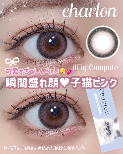 「塗るつけまつげ」ロングタイプ/デジャヴュ/マスカラを使ったクチコミ(1枚目)