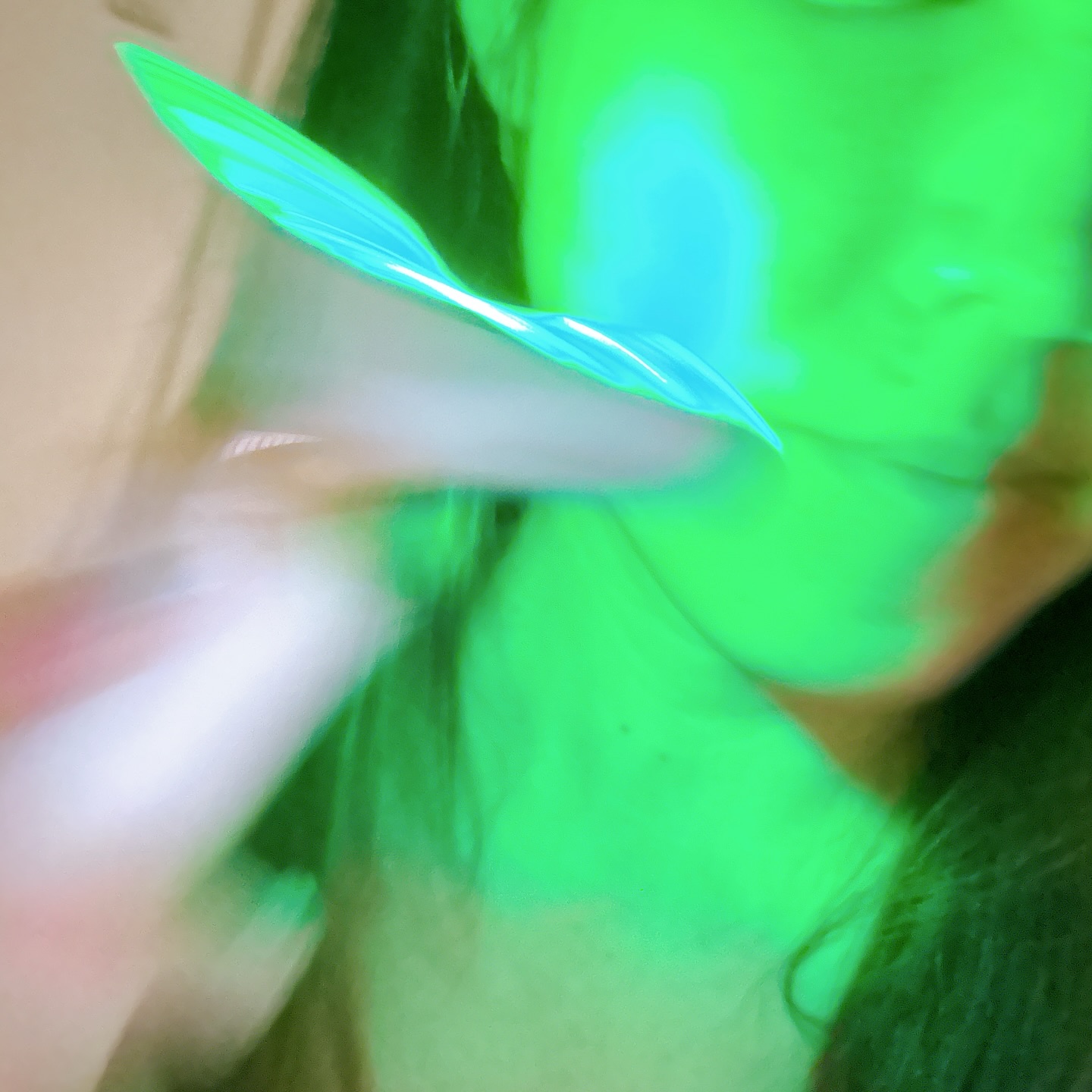 リフト美顔器/ANLAN/美顔器・マッサージを使ったクチコミ（3枚目）