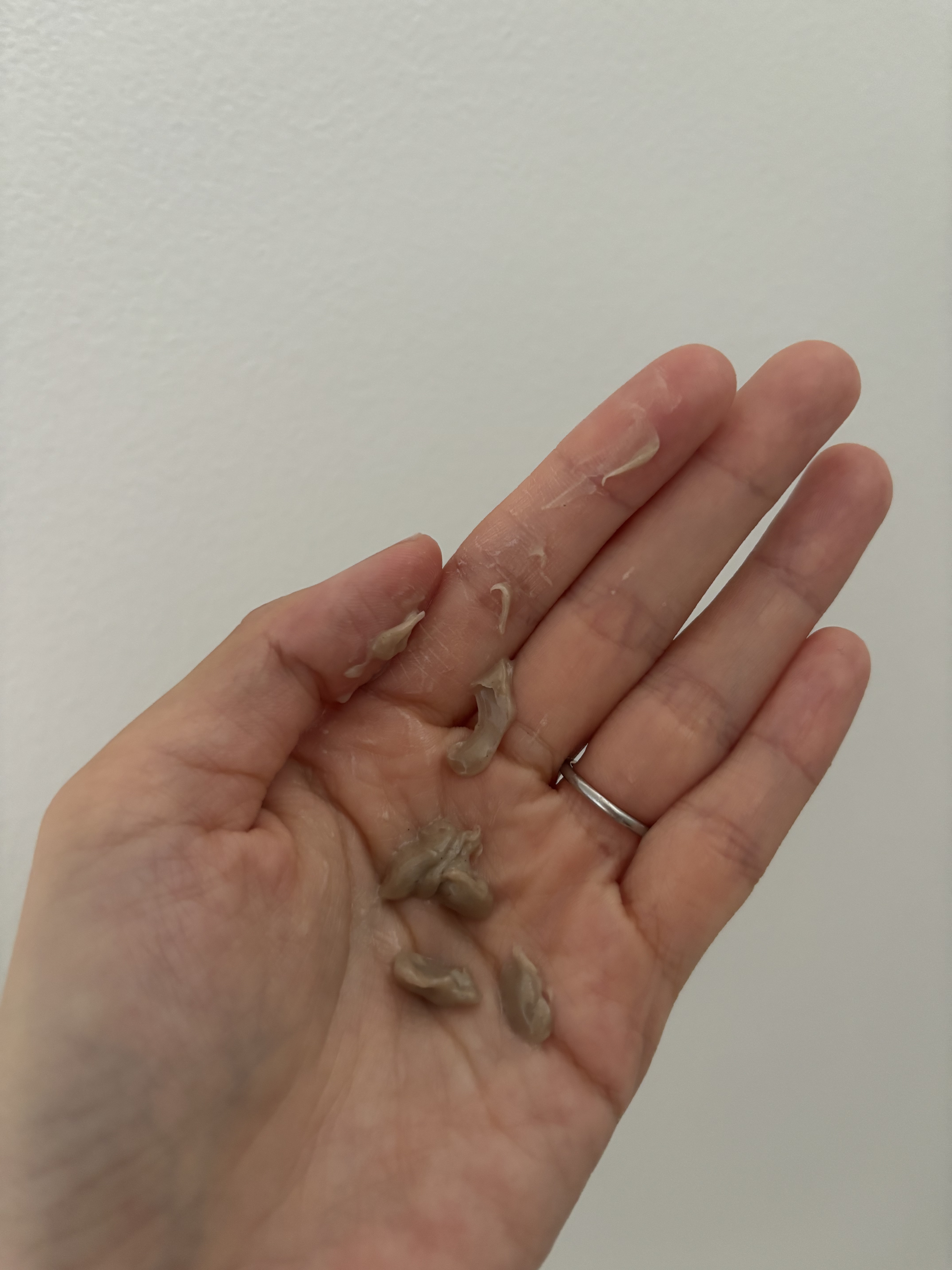 スクラビング　マッド　ウォッシュ/KANEBO/洗顔フォームを使ったクチコミ（3枚目）