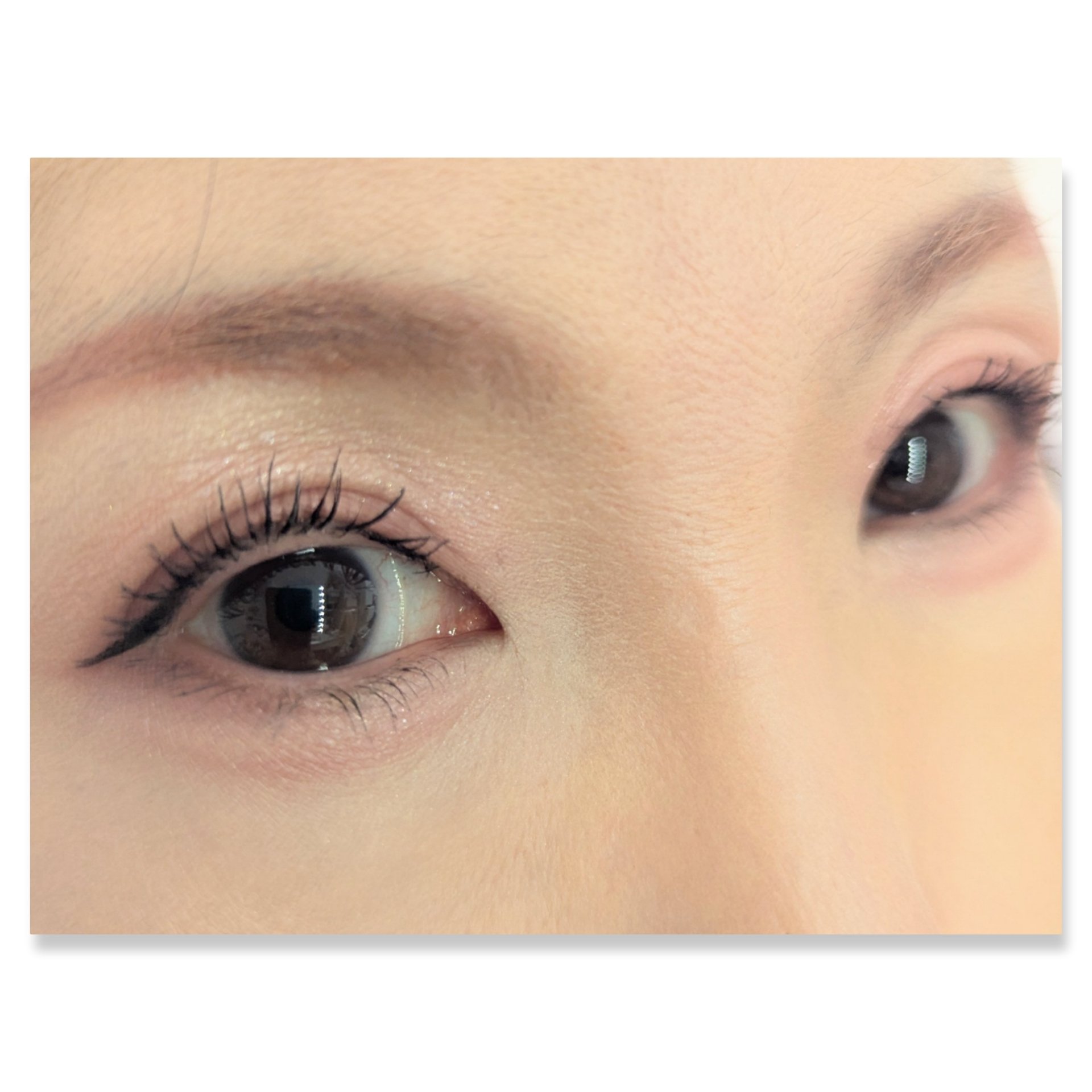 ベージュトーンアイシャドウ/CEZANNE/アイシャドウパレットを使ったクチコミ（2枚目）