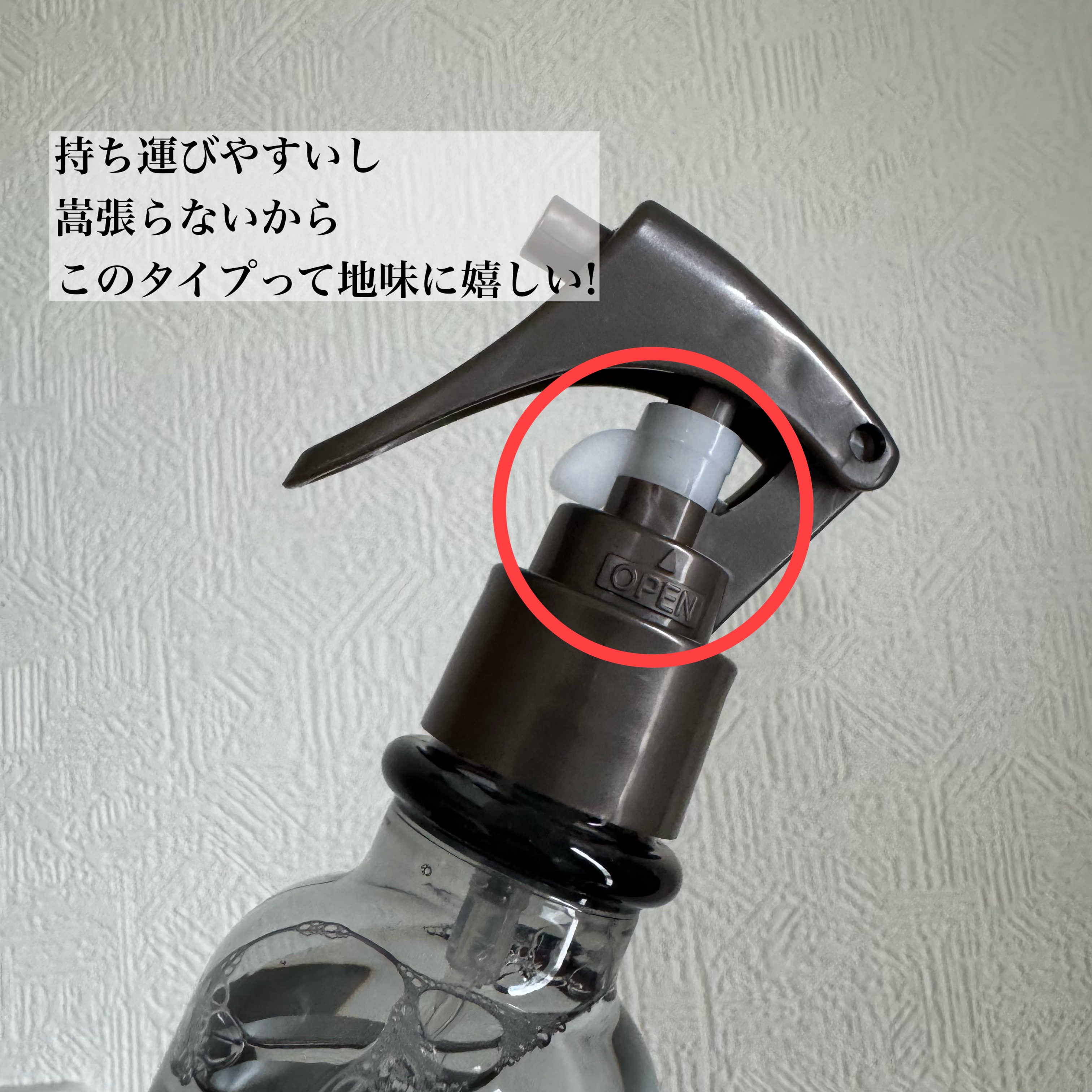 ハイドロミストN/plus eau/アウトバストリートメントを使ったクチコミ（3枚目）