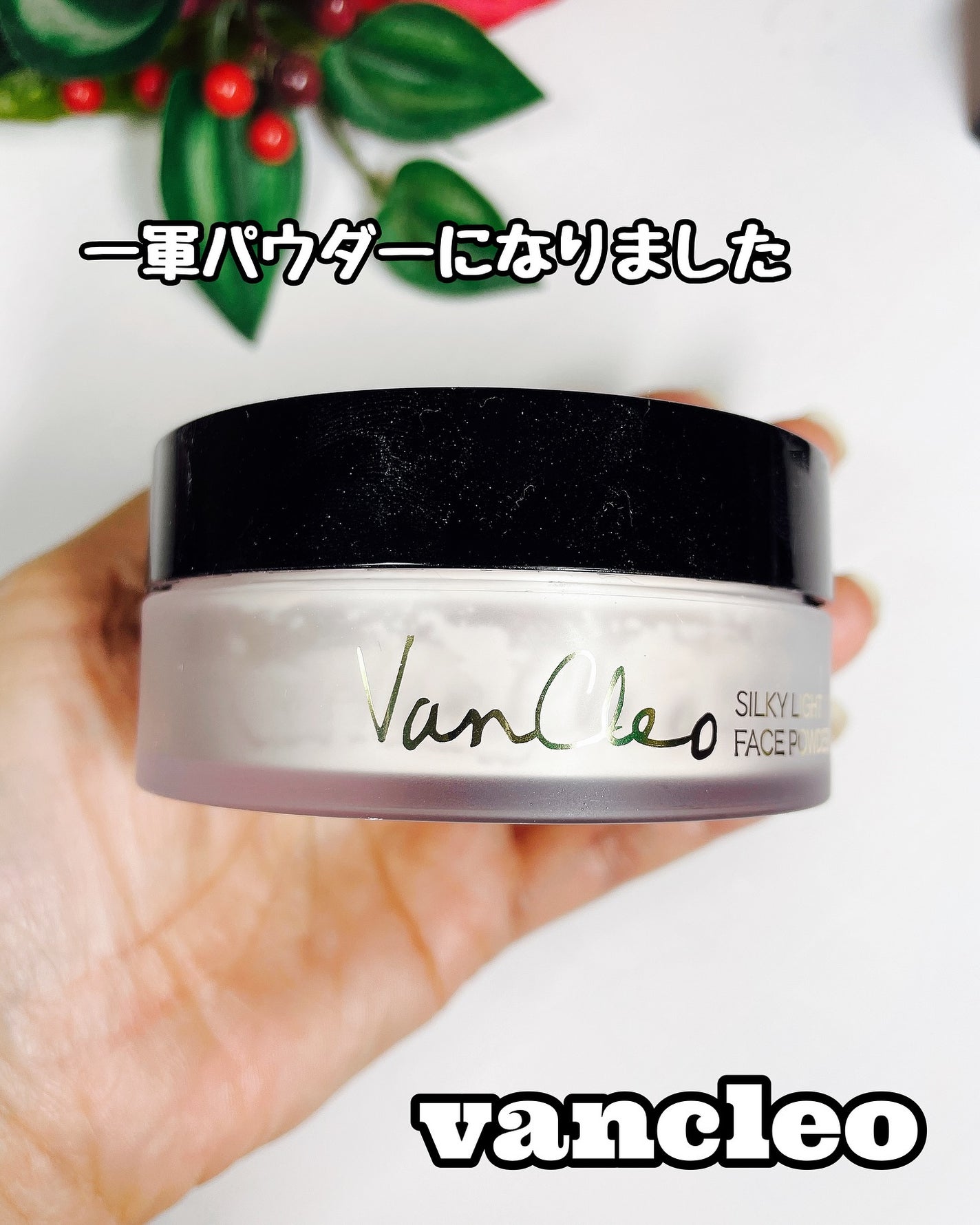 シルキー ライトフェイスパウダー/VanCleo/ルースパウダーを使ったクチコミ(6枚目)