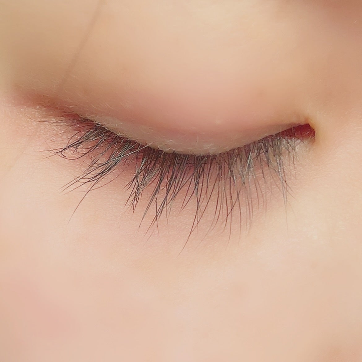 えりゅたん@がんばれない on LIPS 「#cosnoriさんから提供頂いたまつげ美容液💖@cosnor..」(2枚目)