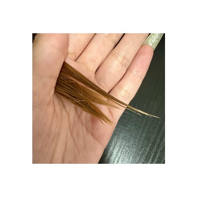 パヒュームウォータートリートメント/エラスチン/洗い流すヘアトリートメントを使ったクチコミ（3枚目）