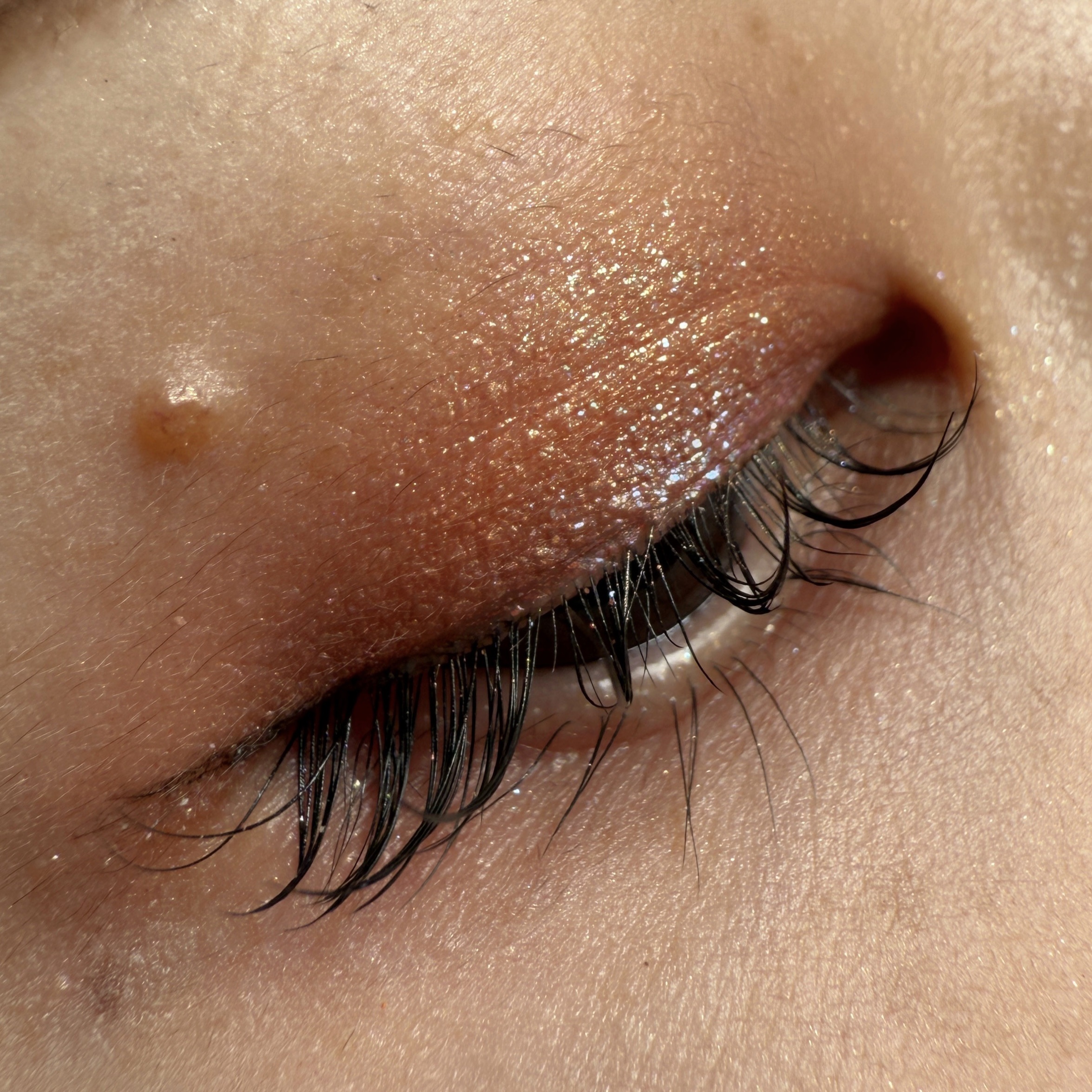 ラズル アイカラー/エレガンス ラズル /単色アイシャドウを使ったクチコミ（3枚目）