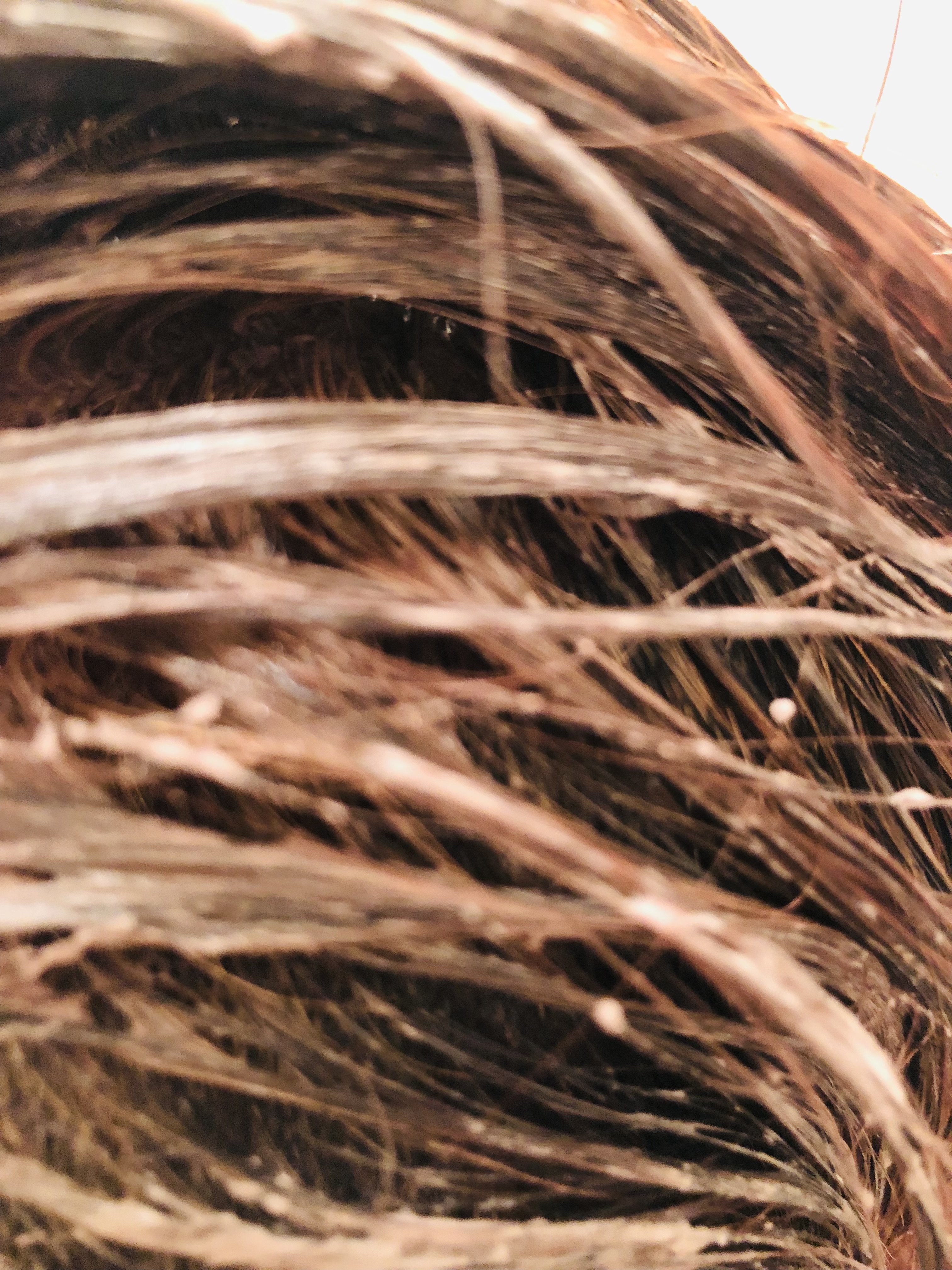 エアリー カラーリング フォーム/b.ris/ヘアカラーを使ったクチコミ（3枚目）