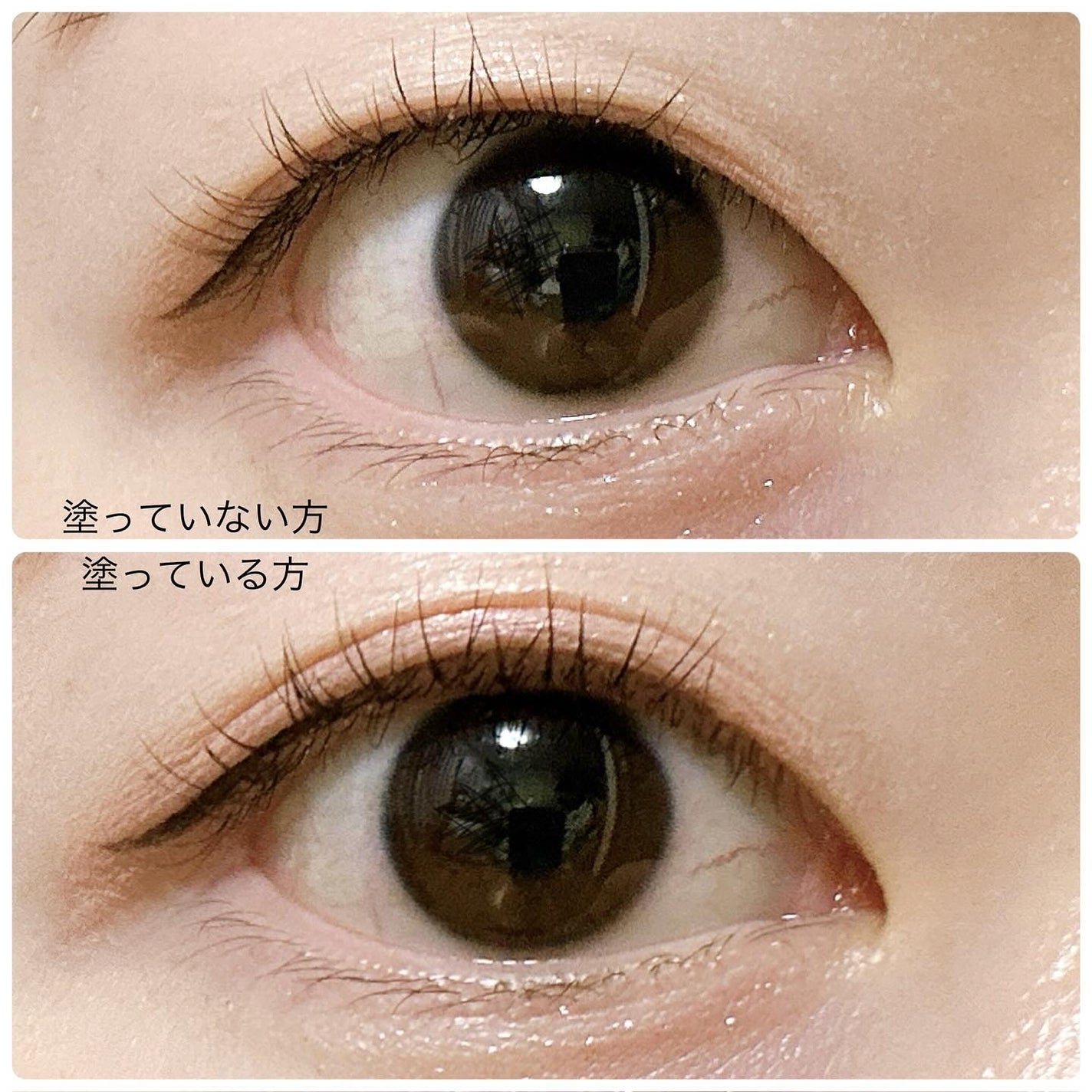 ロングアクティブアイラッシュセラム/COSNORI/まつげ美容液を使ったクチコミ(5枚目)