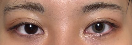 N’s COLLECTION 1day/N’s COLLECTION/ワンデー(1DAY)カラコンを使ったクチコミ(3枚目)