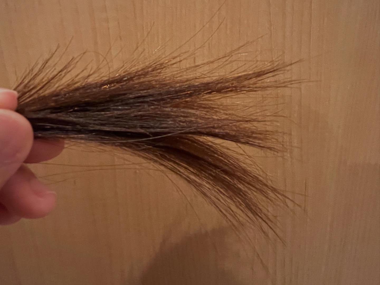 オリーブバージンオイル(S)/DHCプチ/フェイスオイルを使ったクチコミ（3枚目）