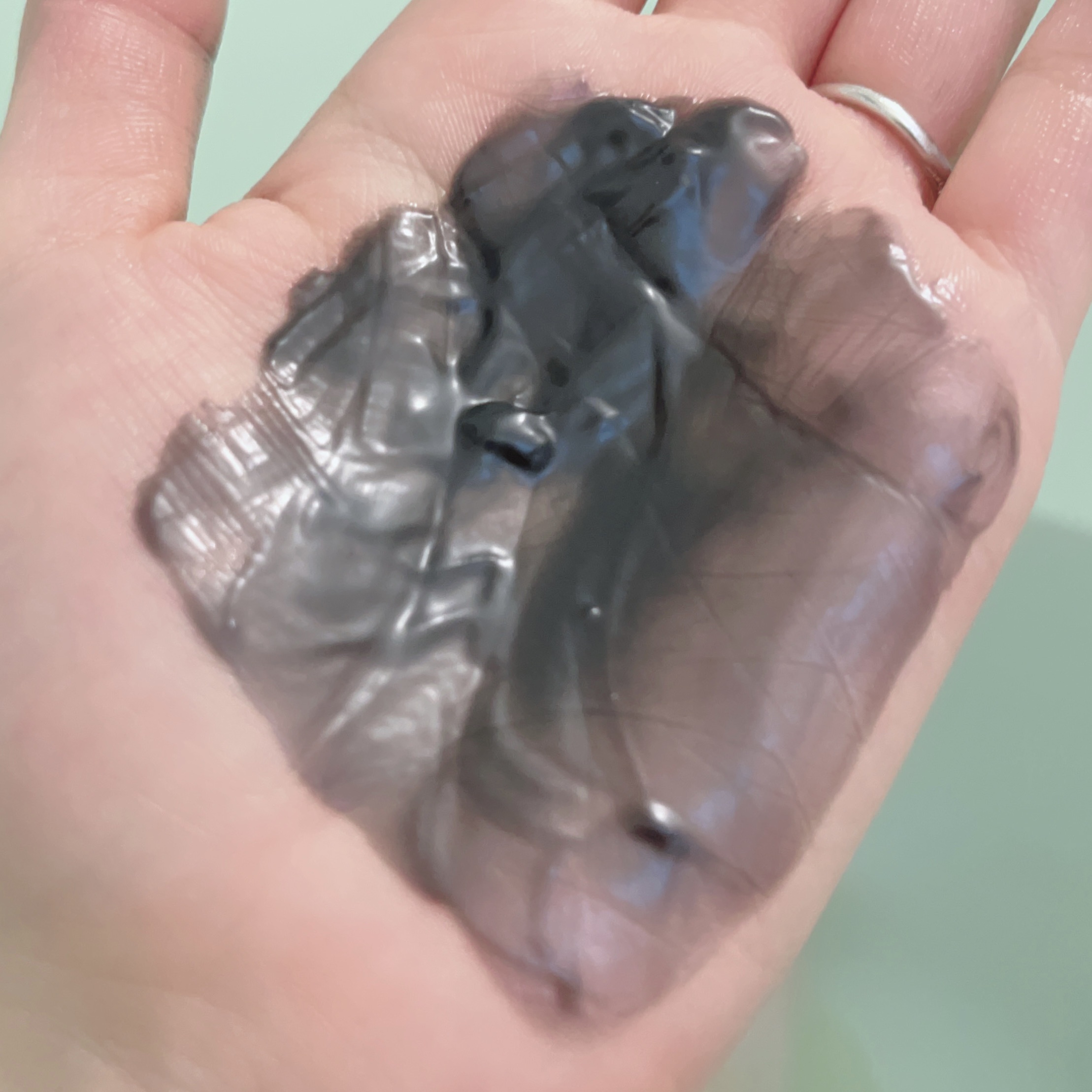 スムースクレンジングバーム ディープブラック GL+/PERFECT ONE  FOCUS/クレンジングバームを使ったクチコミ（3枚目）