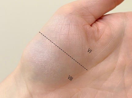 ラ プードル オートニュアンス/Elégance/プレストパウダーを使ったクチコミ(6枚目)