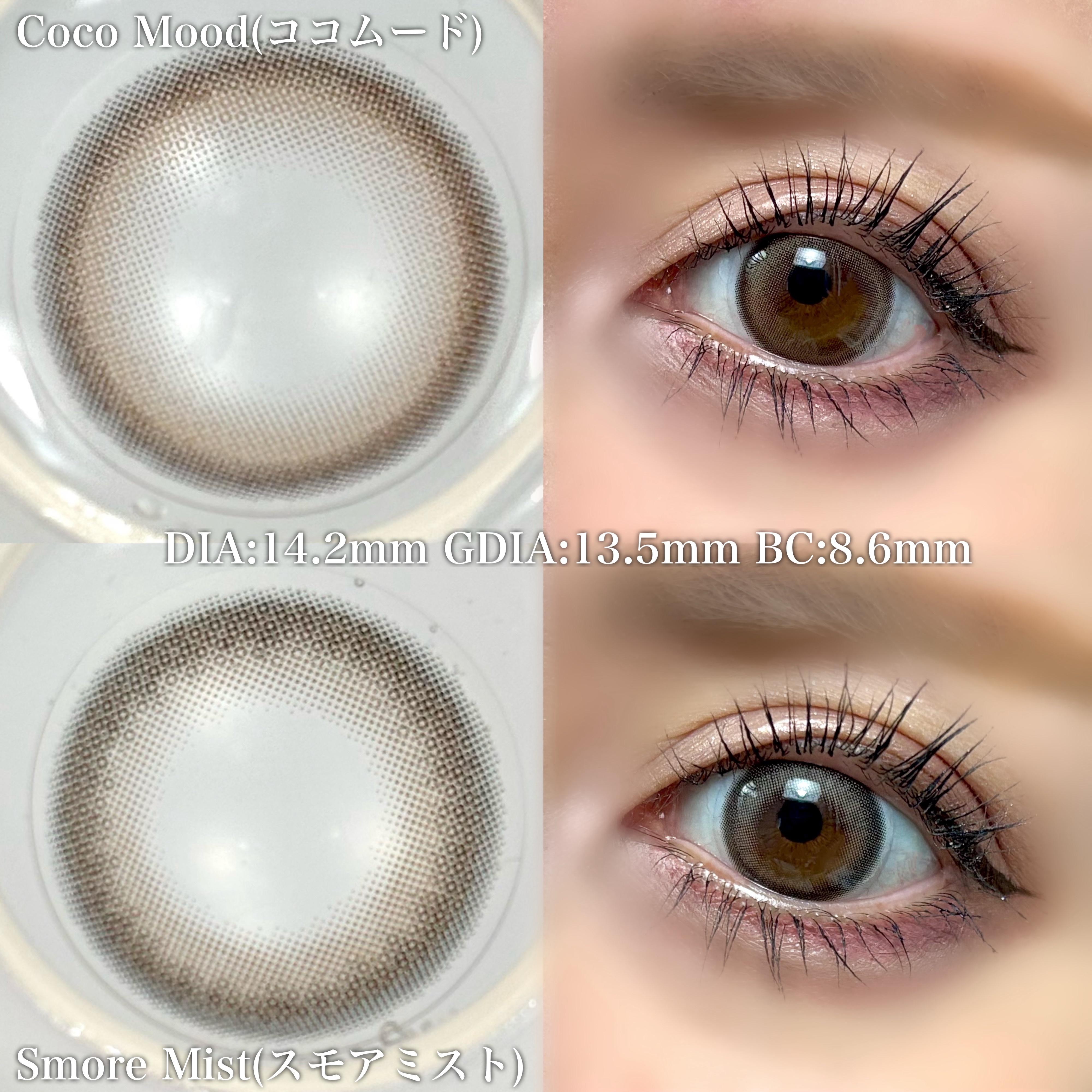 Cheritta 1day スモアミスト(Smore Mist)/Cheritta/ワンデー（１DAY）カラコンを使ったクチコミ（2枚目）