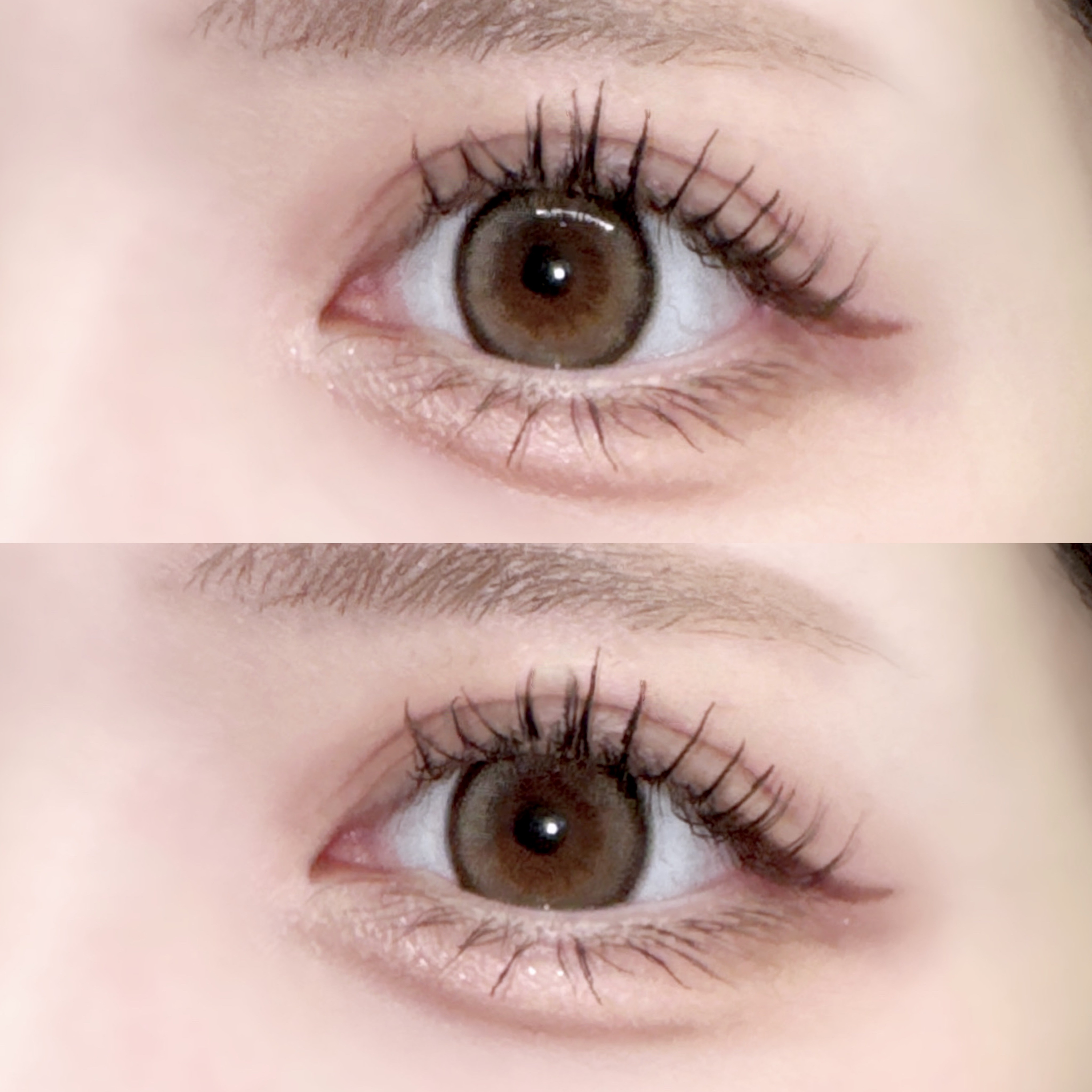 プランぷくコーデアイズNeo/キャンメイク/アイシャドウを使ったクチコミ（1枚目）