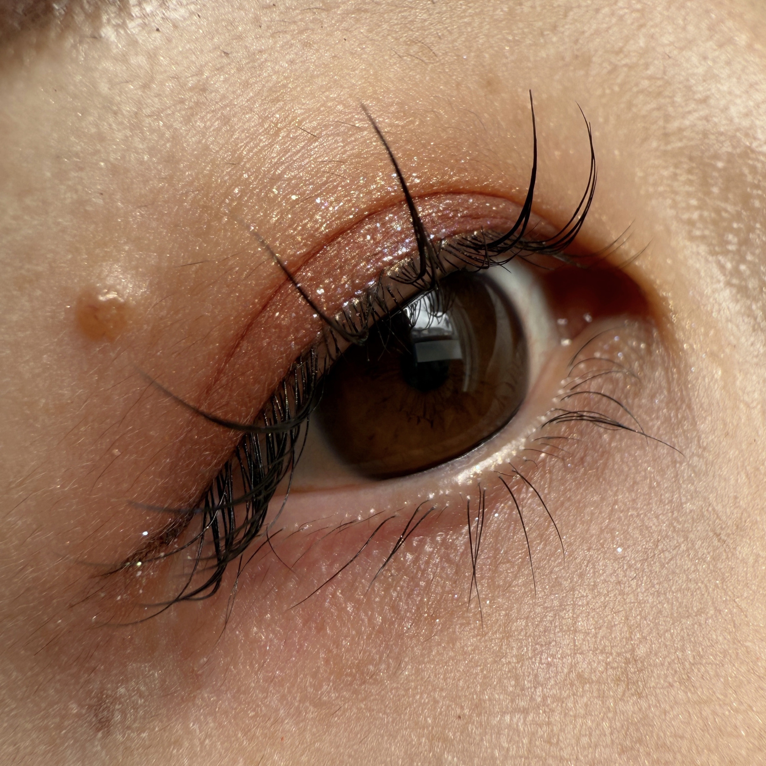 ラズル アイカラー/エレガンス ラズル /単色アイシャドウを使ったクチコミ（1枚目）