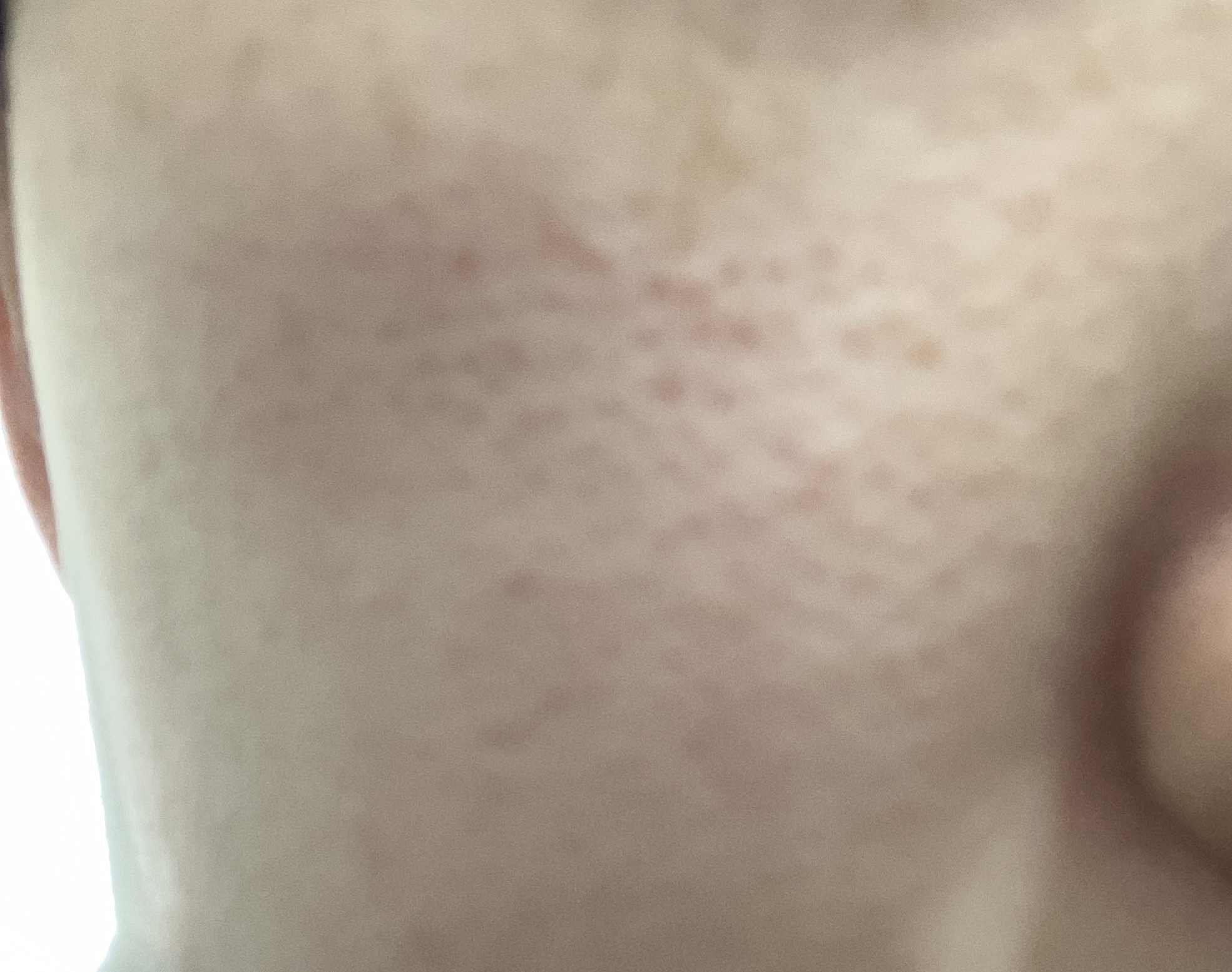 マイルド洗顔フォーム/無印良品/洗顔フォームを使ったクチコミ（2枚目）