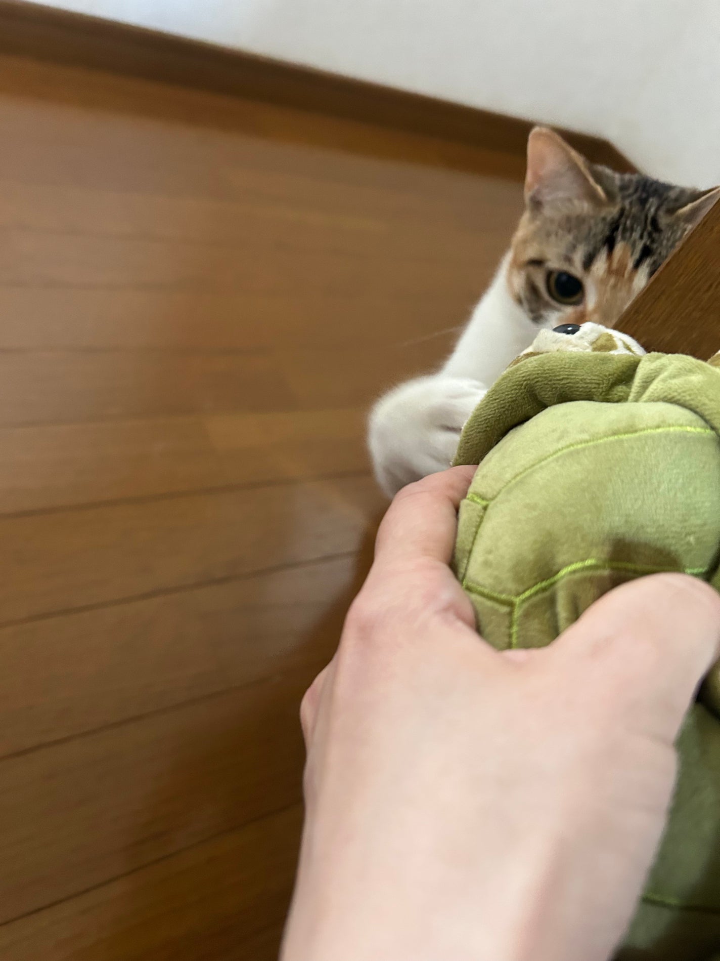 ðââ¬ã«ãããðŸ on LIPS ããã£ã±ãéãã§æ¬²ããã£ãããããã«ã¡ããã¢ããŒã«ç¶ããŠãããã ..ãïŒ3æç®ïŒ