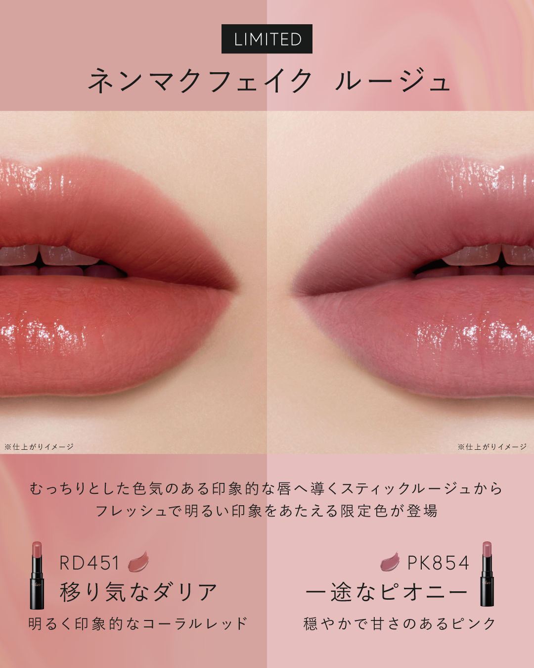 Visée(ヴィセ)Official アカウント on LIPS 「〖保存推奨〗ネンマクフェイクルージュ最新パソカラ表💄ˊˎ˗むっ..」(3枚目)