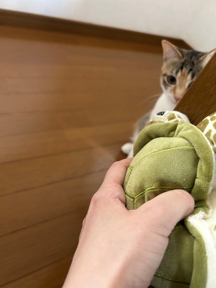 ðââ¬ã«ãããðŸ on LIPS ããã£ã±ãéãã§æ¬²ããã£ãããããã«ã¡ããã¢ããŒã«ç¶ããŠãããã ..ãïŒ2æç®ïŒ