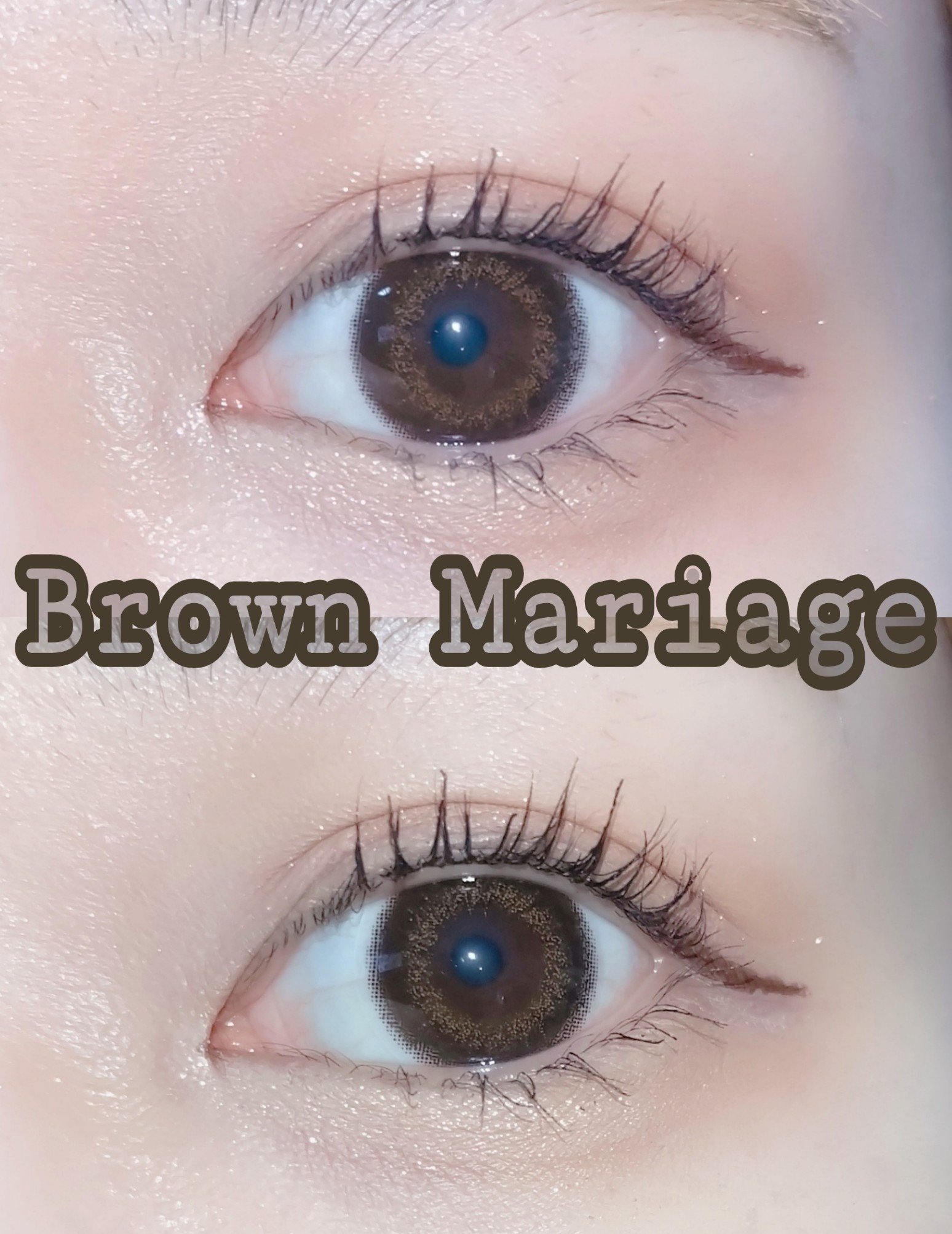 エバーカラーワンデーナチュラル モイストレーベルUV ブラウンマリアージュ/エバーカラー/ワンデー（１DAY）カラコンを使ったクチコミ（1枚目）