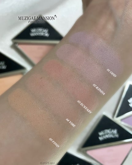 フィッティングブラッシュ/MUZIGAE MANSION/パウダーチークを使ったクチコミ(6枚目)