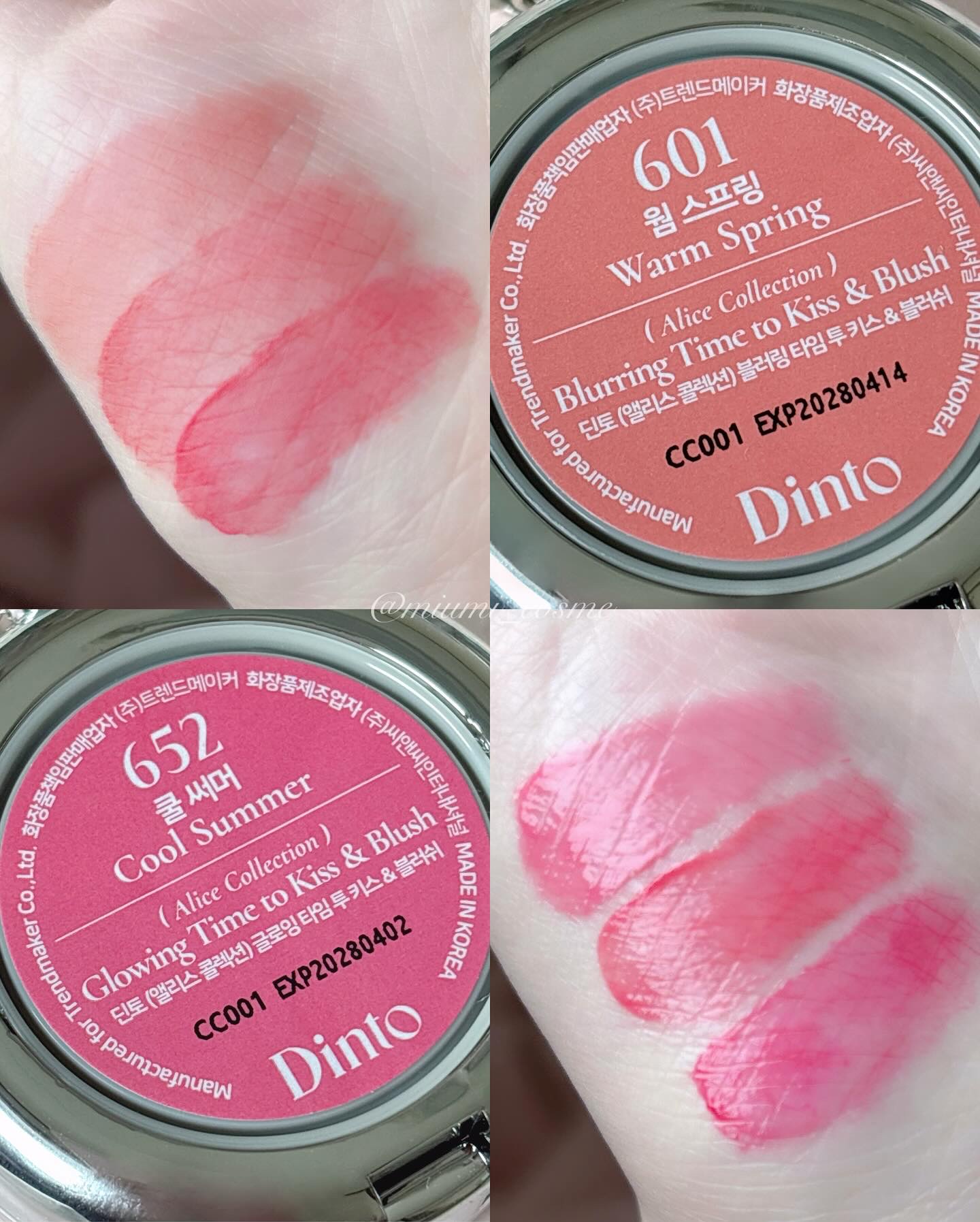 ブラーリングタイムトゥーキスアンドブラッシュ/Dinto/口紅を使ったクチコミ（2枚目）