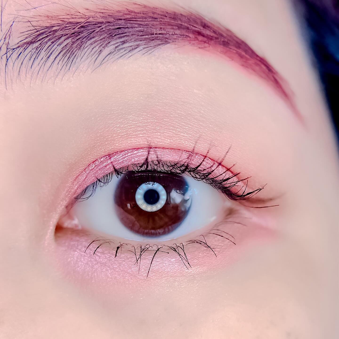 【旧】サンク クルール クチュール/Dior/アイシャドウパレットを使ったクチコミ（3枚目）