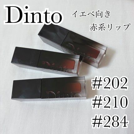 ブラーグロイリップティント/Dinto/リップティントを使ったクチコミ(1枚目)