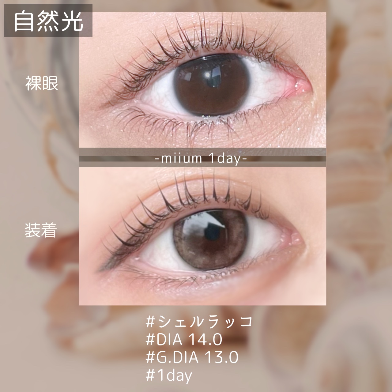 miium 1day/miium/ワンデー（１DAY）カラコンを使ったクチコミ（2枚目）