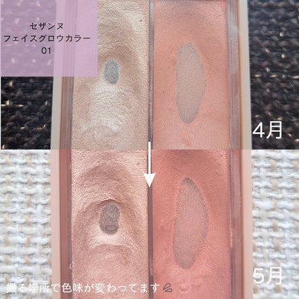 シェーディングパウダー/キャンメイク/シェーディングを使ったクチコミ(4枚目)