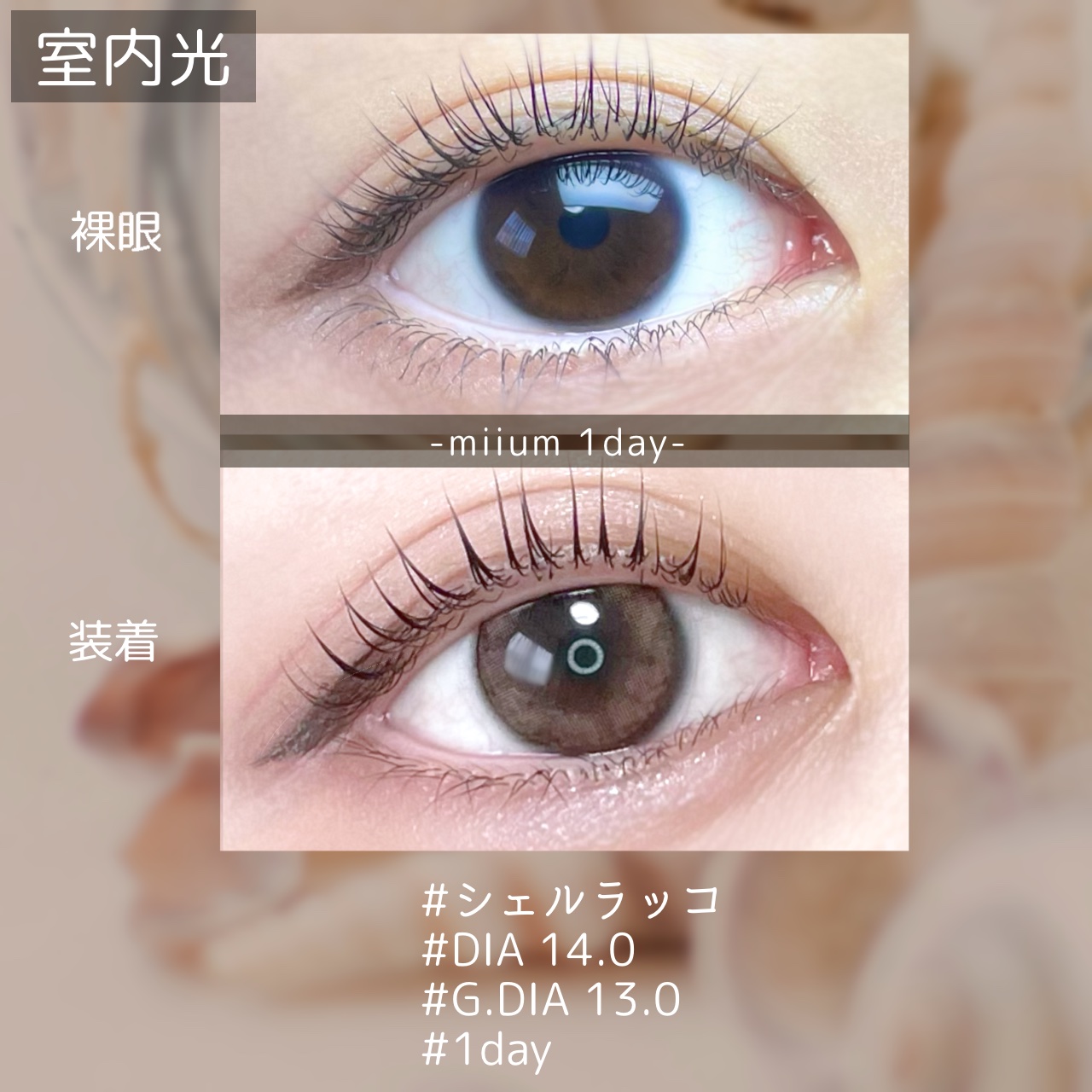 miium 1day/miium/ワンデー（１DAY）カラコンを使ったクチコミ（3枚目）