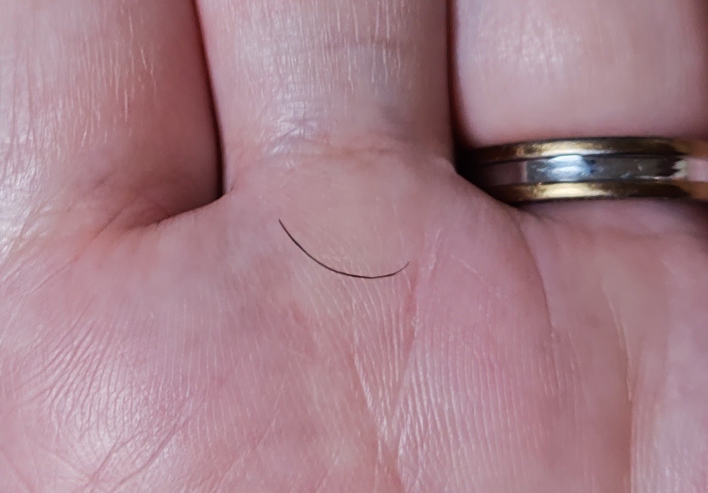 アイラッシュソリューションセラム/Milk Touch/まつげ美容液を使ったクチコミ（1枚目）