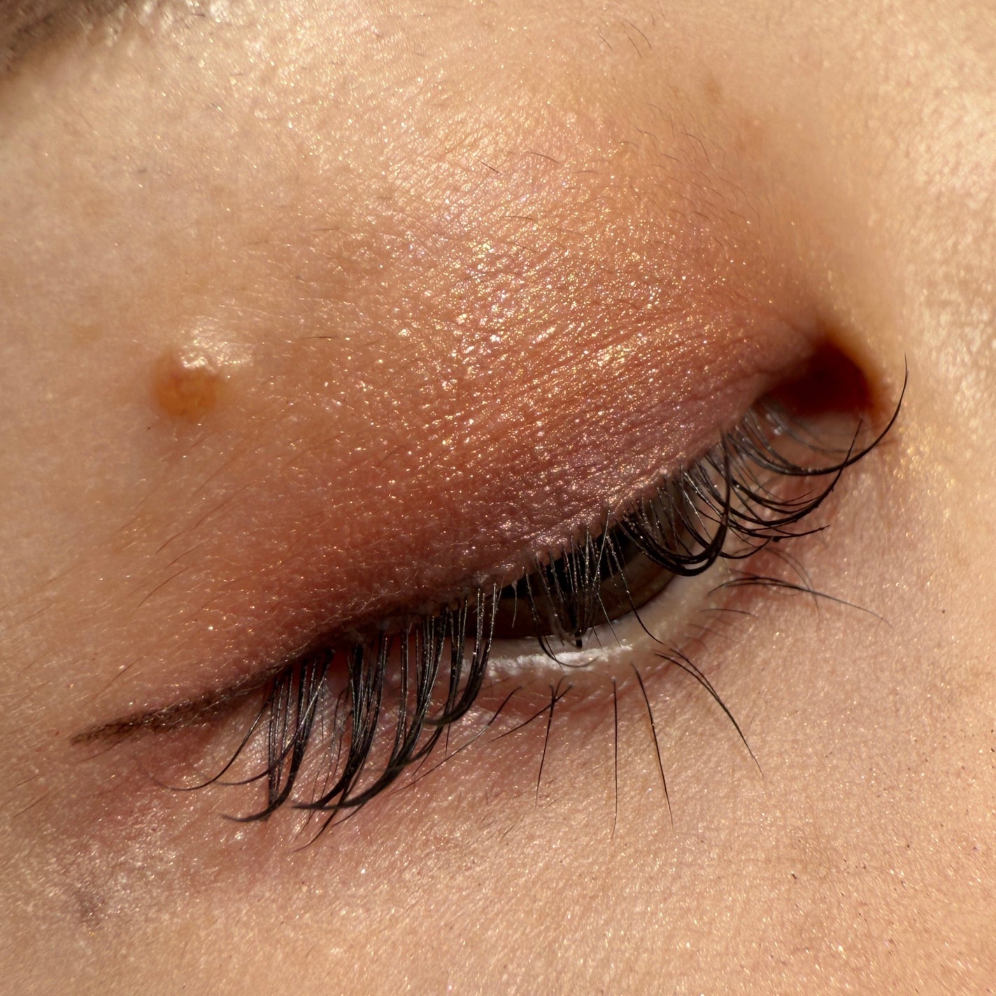 ディオールショウ サンク クルール/Dior/アイシャドウを使ったクチコミ(3枚目)