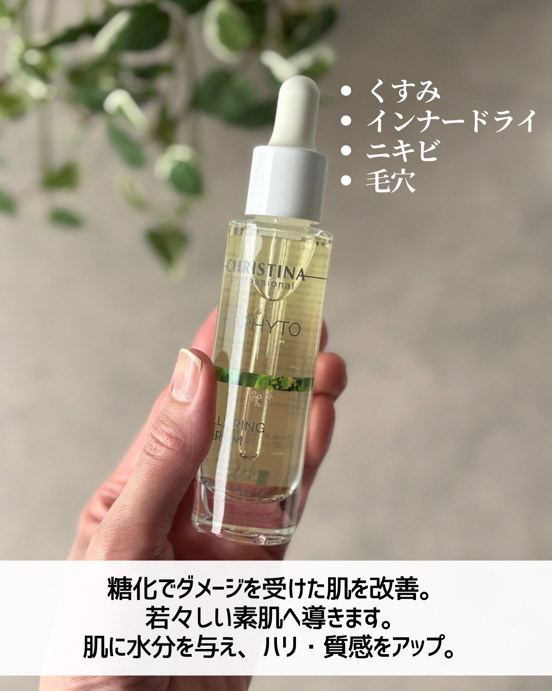 ♡さぁーちゃん♡ クリスティーナ テラスキン 4個 ♡さぁーちゃん