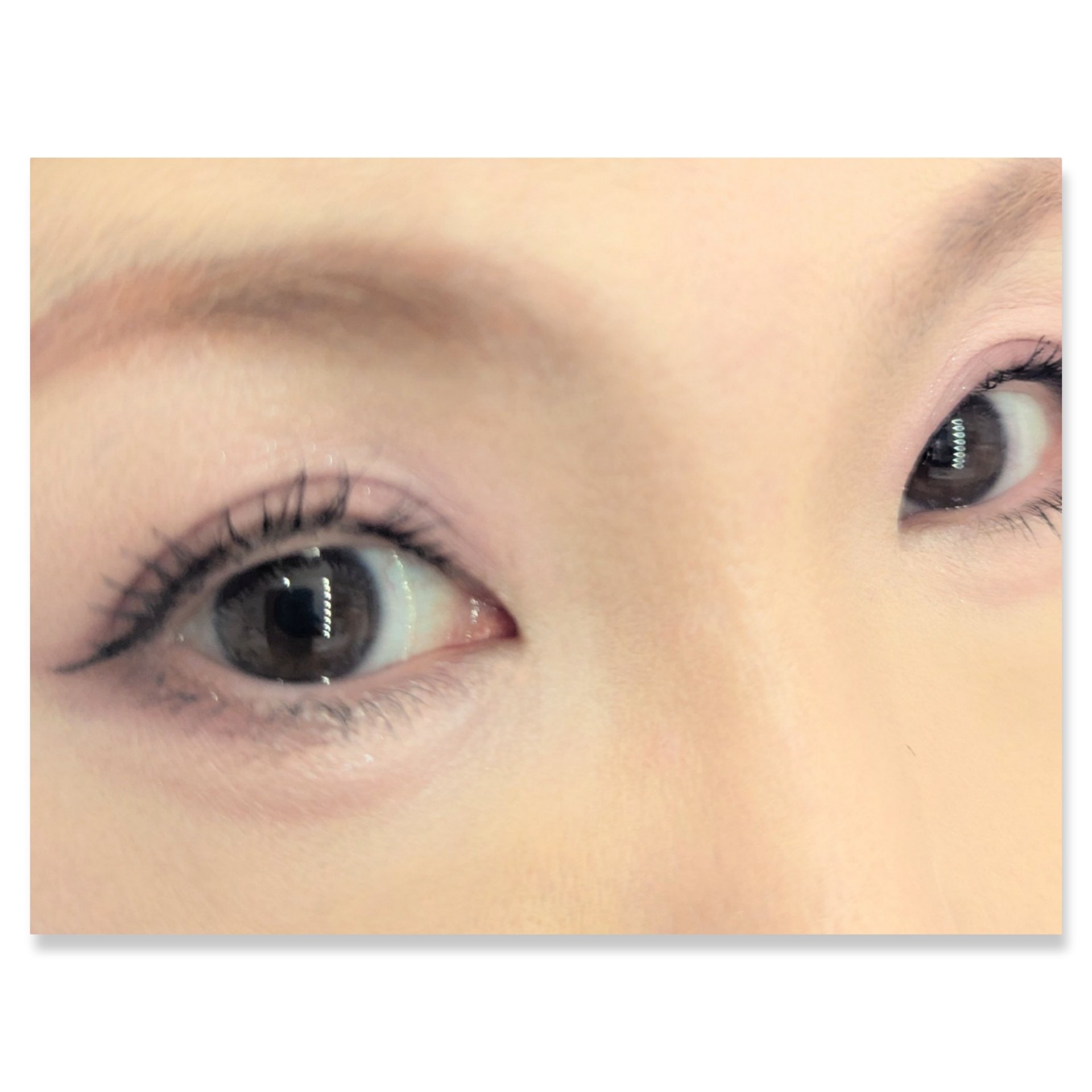 ミャオパウズアイシャドウパレット/MilleFée/アイシャドウパレットを使ったクチコミ（2枚目）