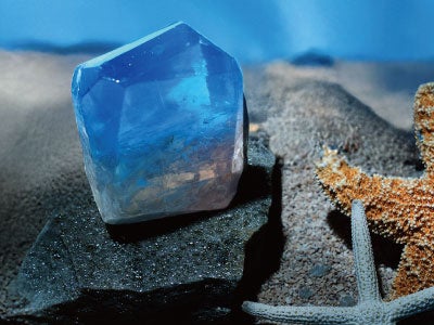 SOKAITEKI Sokaiteki×森石鹸 Coral  Lagoon    -コーラルラグーン-