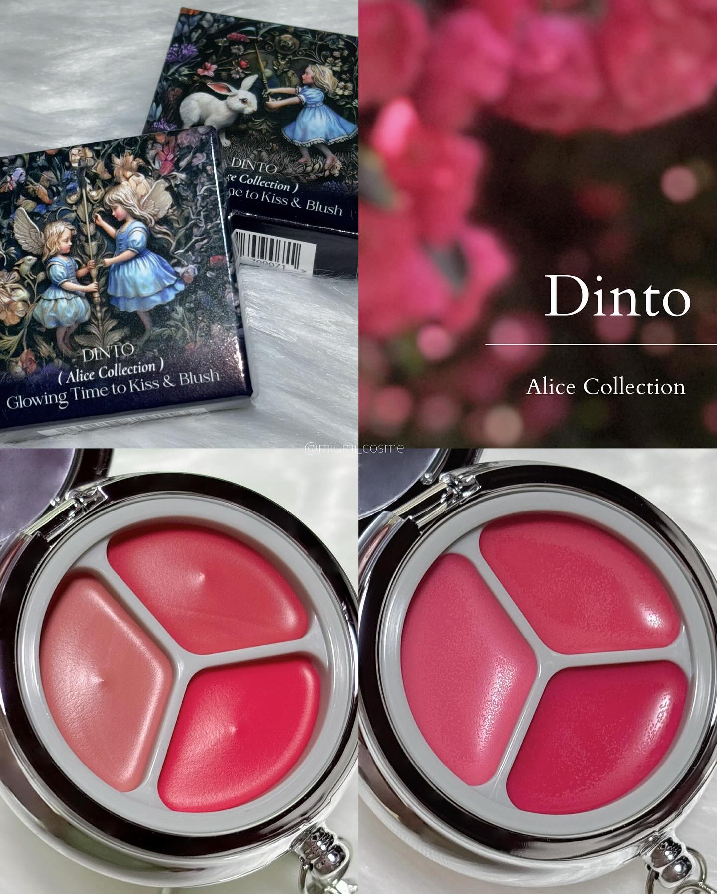 ブラーリングタイムトゥーキスアンドブラッシュ/Dinto/口紅を使ったクチコミ（1枚目）