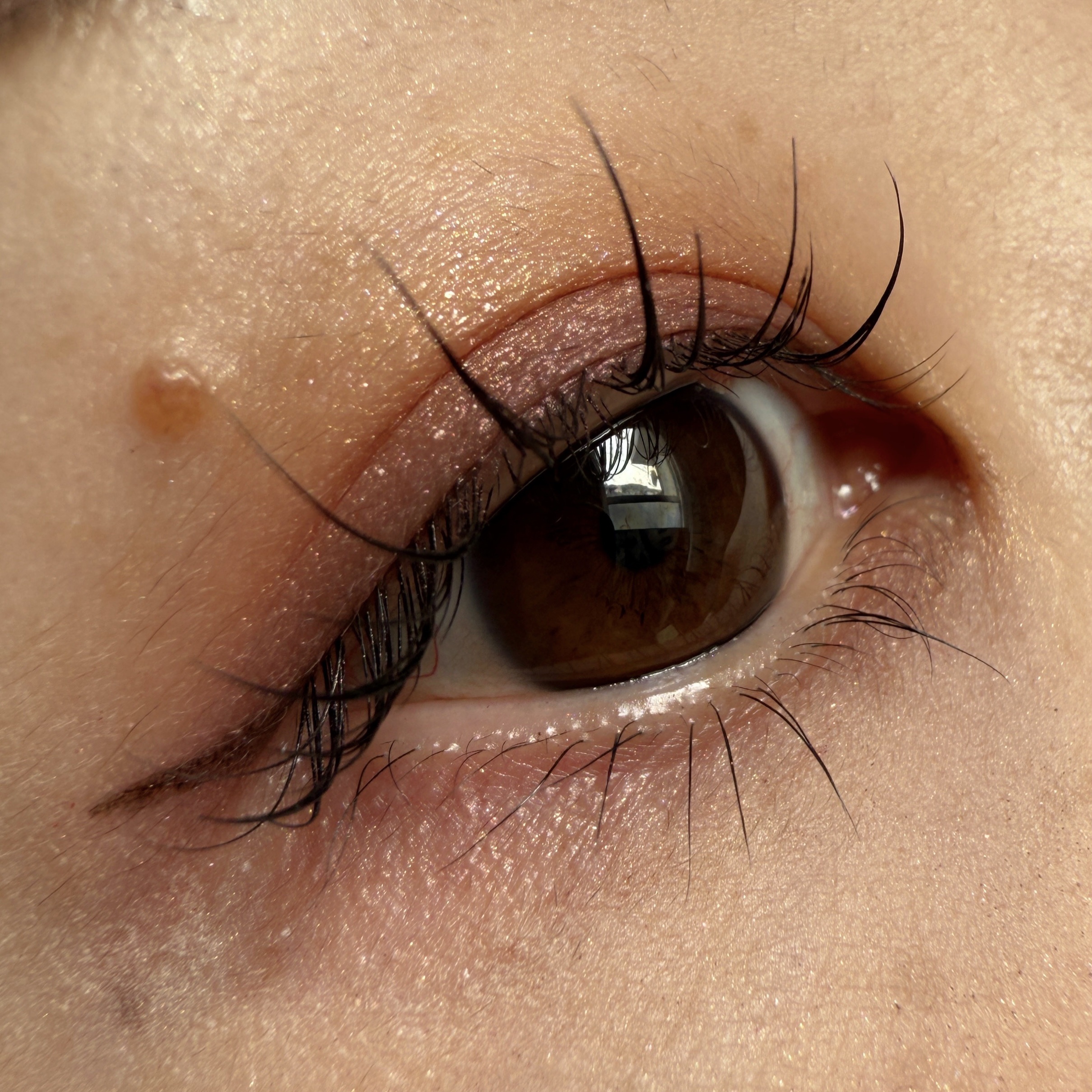 ディオールショウ サンク クルール/Dior/アイシャドウを使ったクチコミ（1枚目）