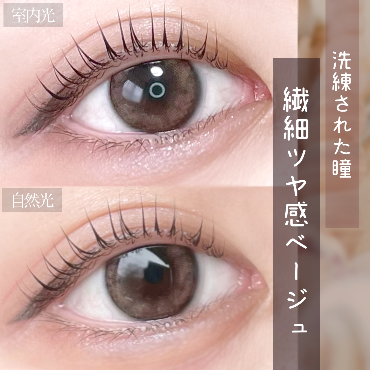 miium 1day/miium/ワンデー（１DAY）カラコンを使ったクチコミ（1枚目）