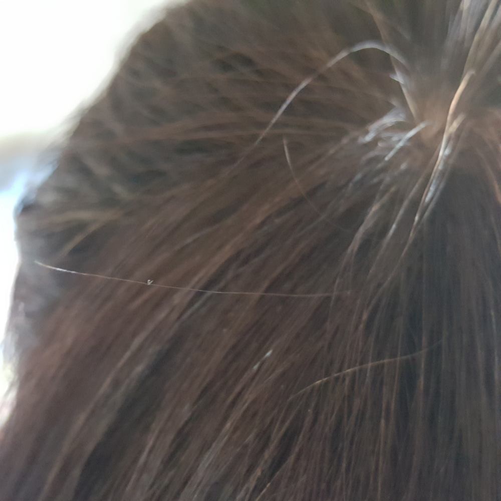 up to クリームヘアカラー/DAISO/ヘアカラーを使ったクチコミ（3枚目）