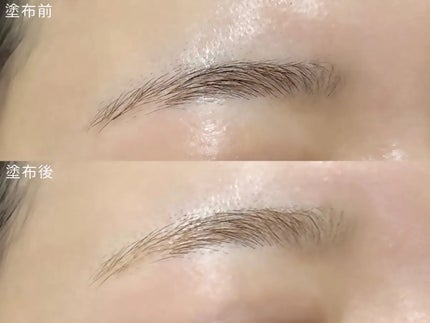 BROW BLEACH/ENTROPY/ブリーチ剤を使ったクチコミ(4枚目)